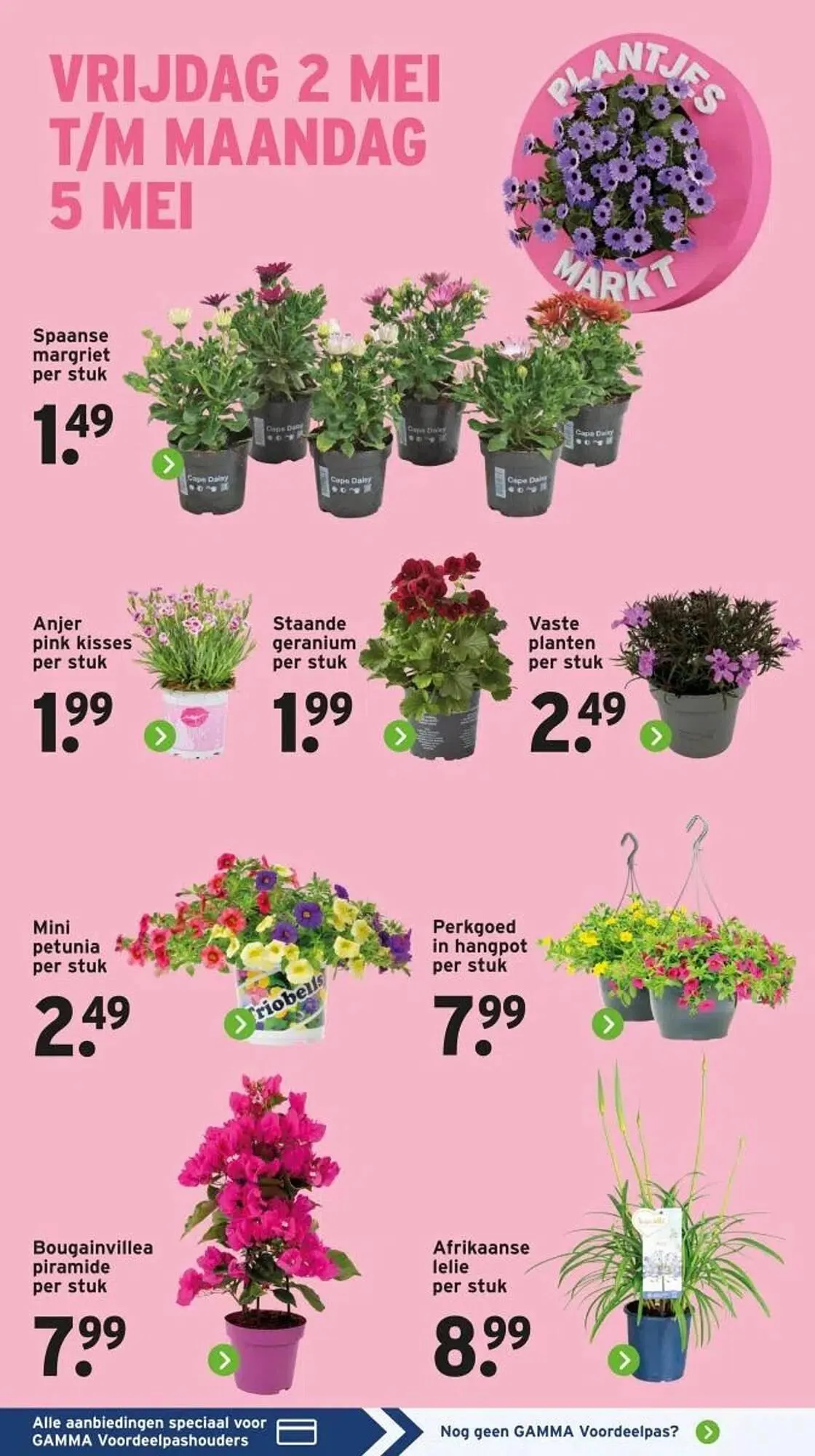 GAMMA folder van 28 april tot 4 mei 2025 - Folder pagina 2