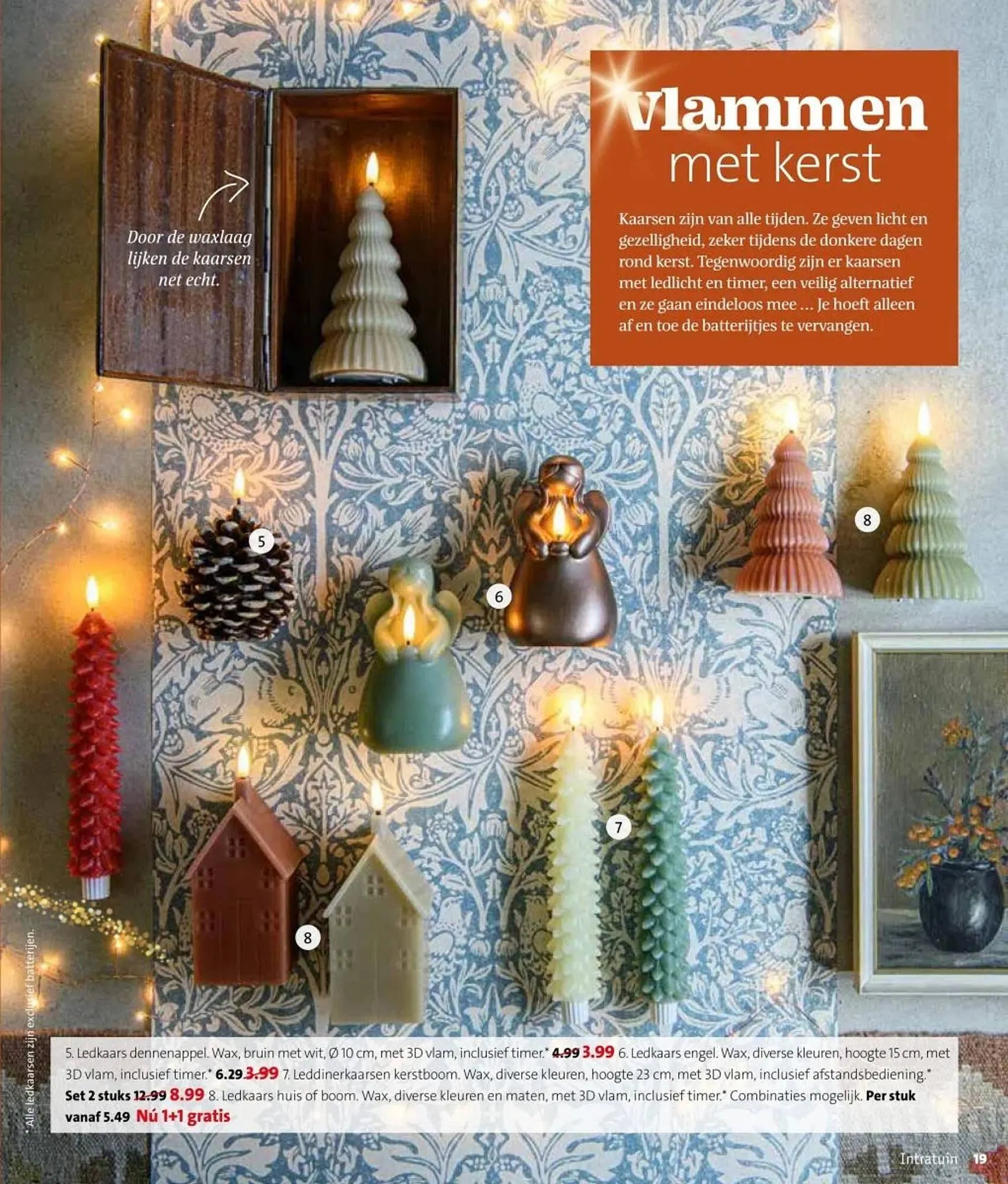 Intratuin folder van 27 oktober tot 2 november 2025 - Folder pagina 19