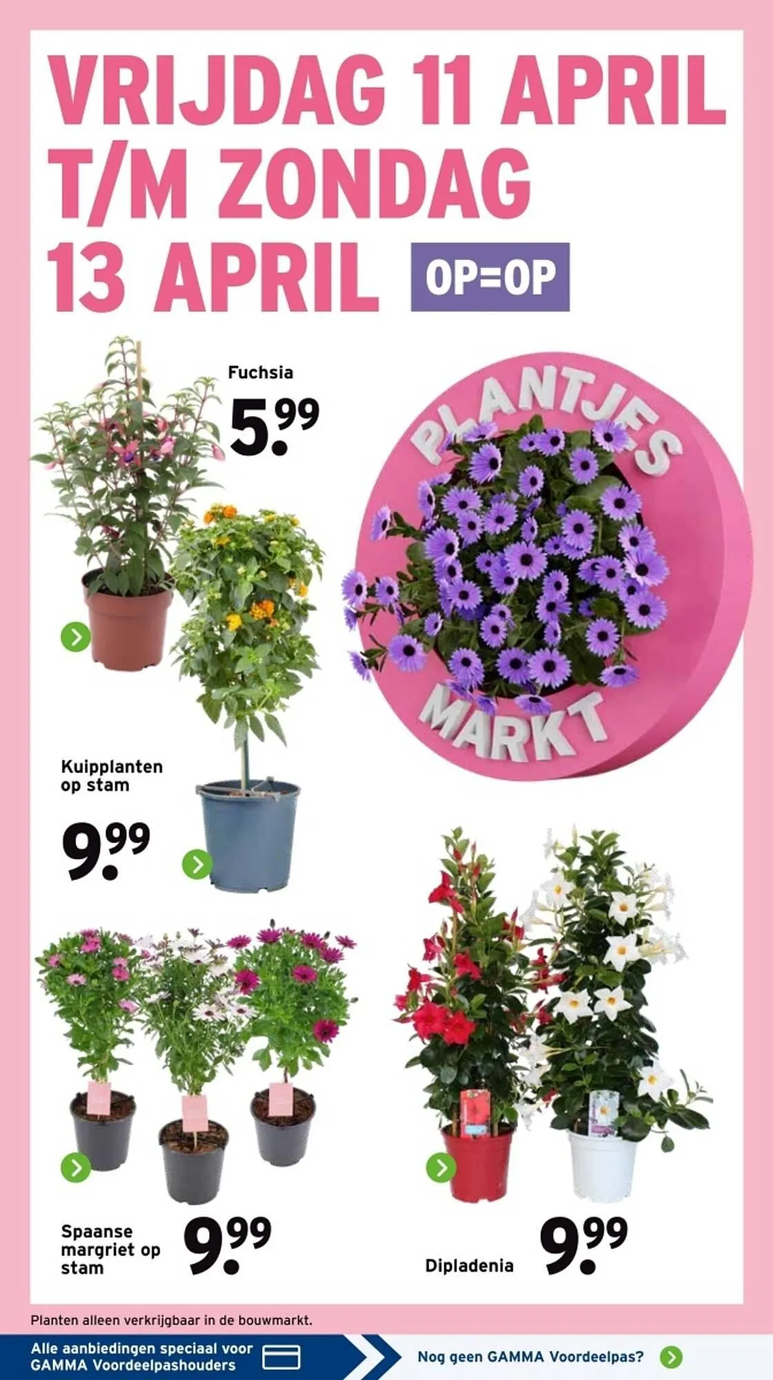 GAMMA folder van 7 april tot 13 april 2025 - Folder pagina 3