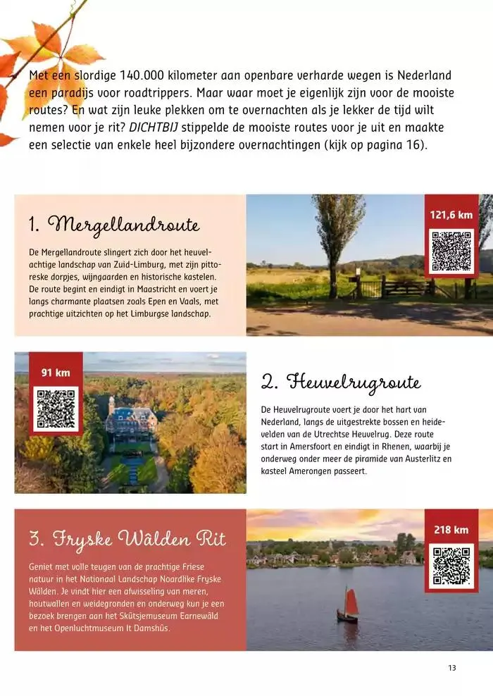 Dichtbij van 18 november tot 2 december 2024 - Folder pagina 13