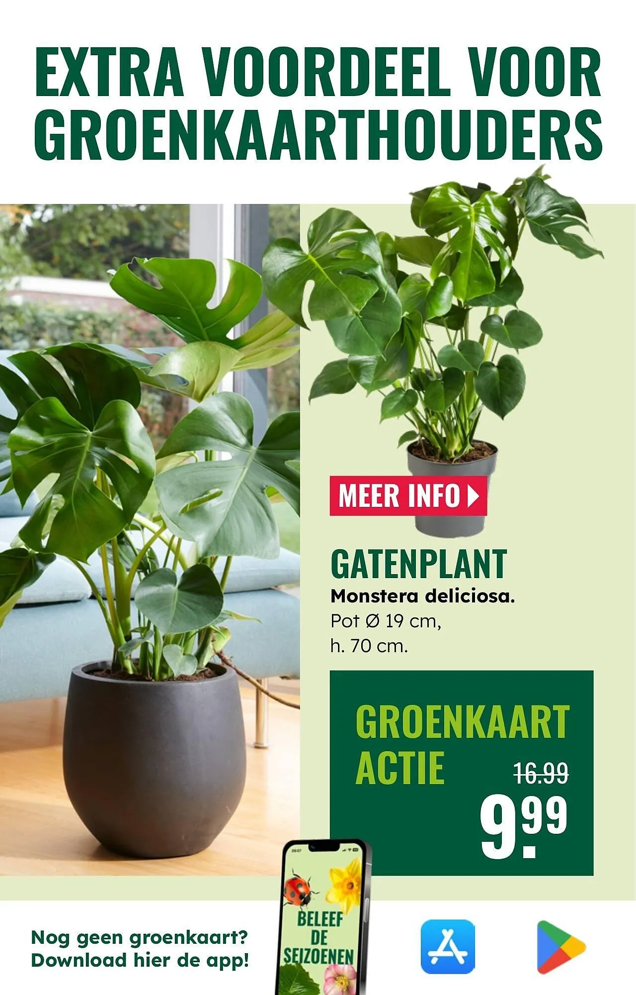 GroenRijk folder van 30 juli tot 12 augustus 2025 - Folder pagina 5