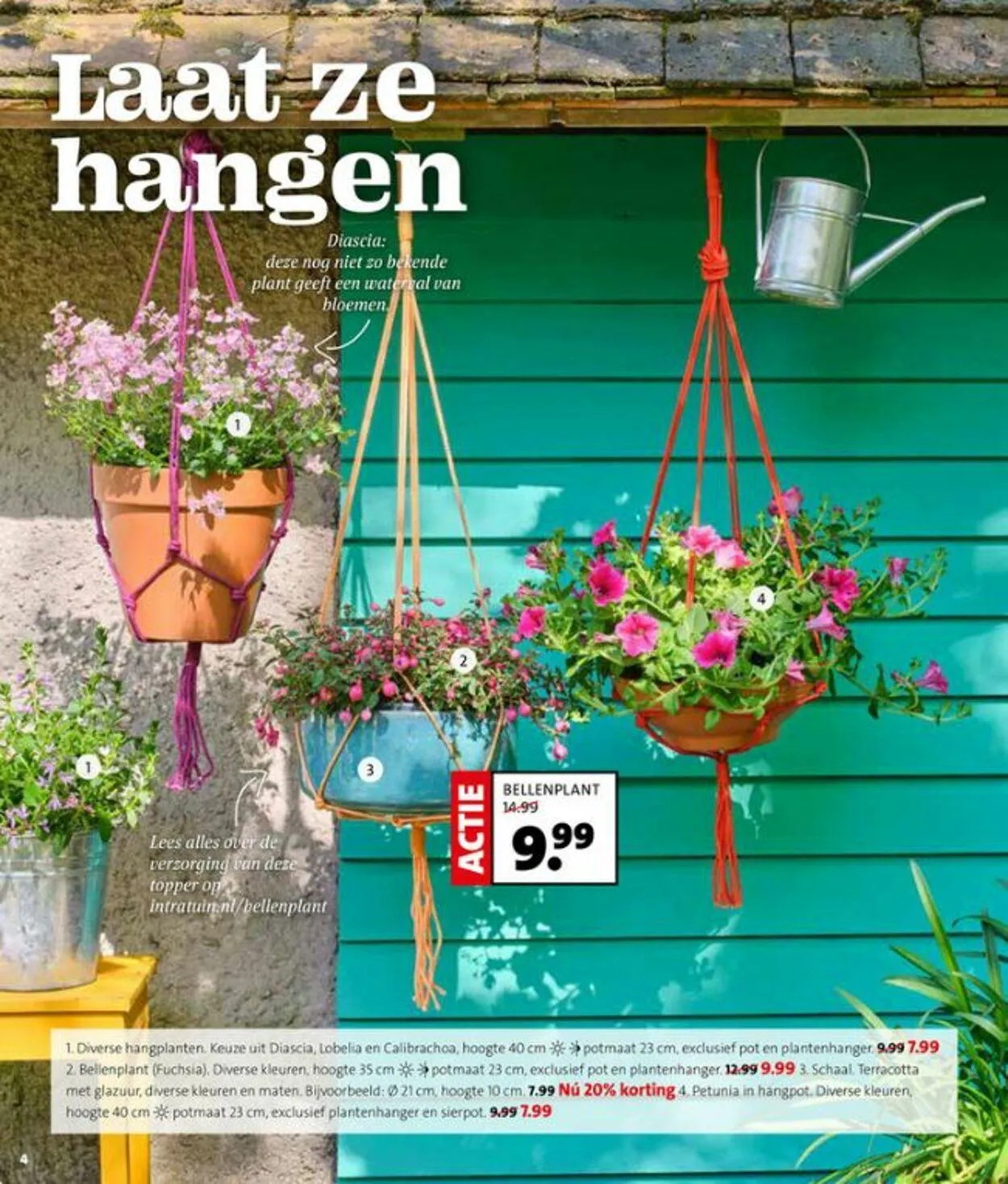 Intratuin Actuele folder van 3 augustus tot 17 augustus 2025 - Folder pagina 4