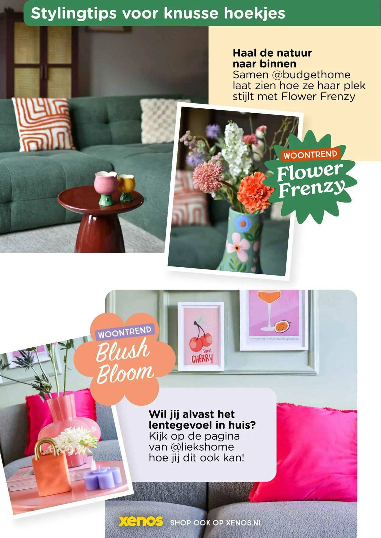 Xenos van 27 januari tot 27 maart 2025 - Folder pagina 36