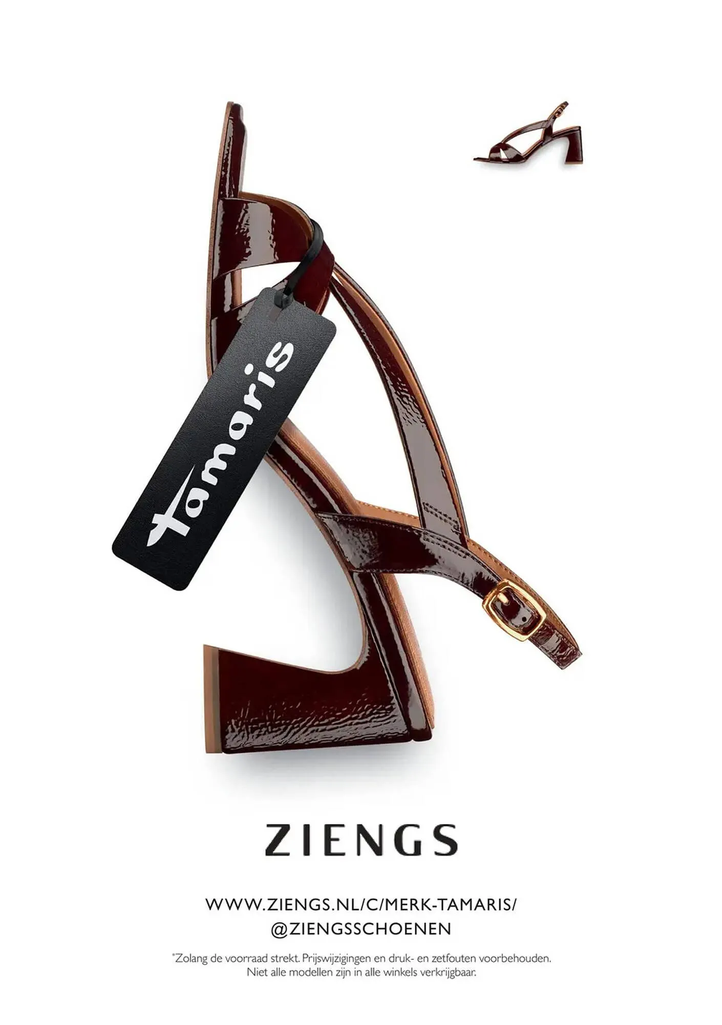 Ziengs folder van 20 april tot 10 mei 2026 - Folder pagina 12