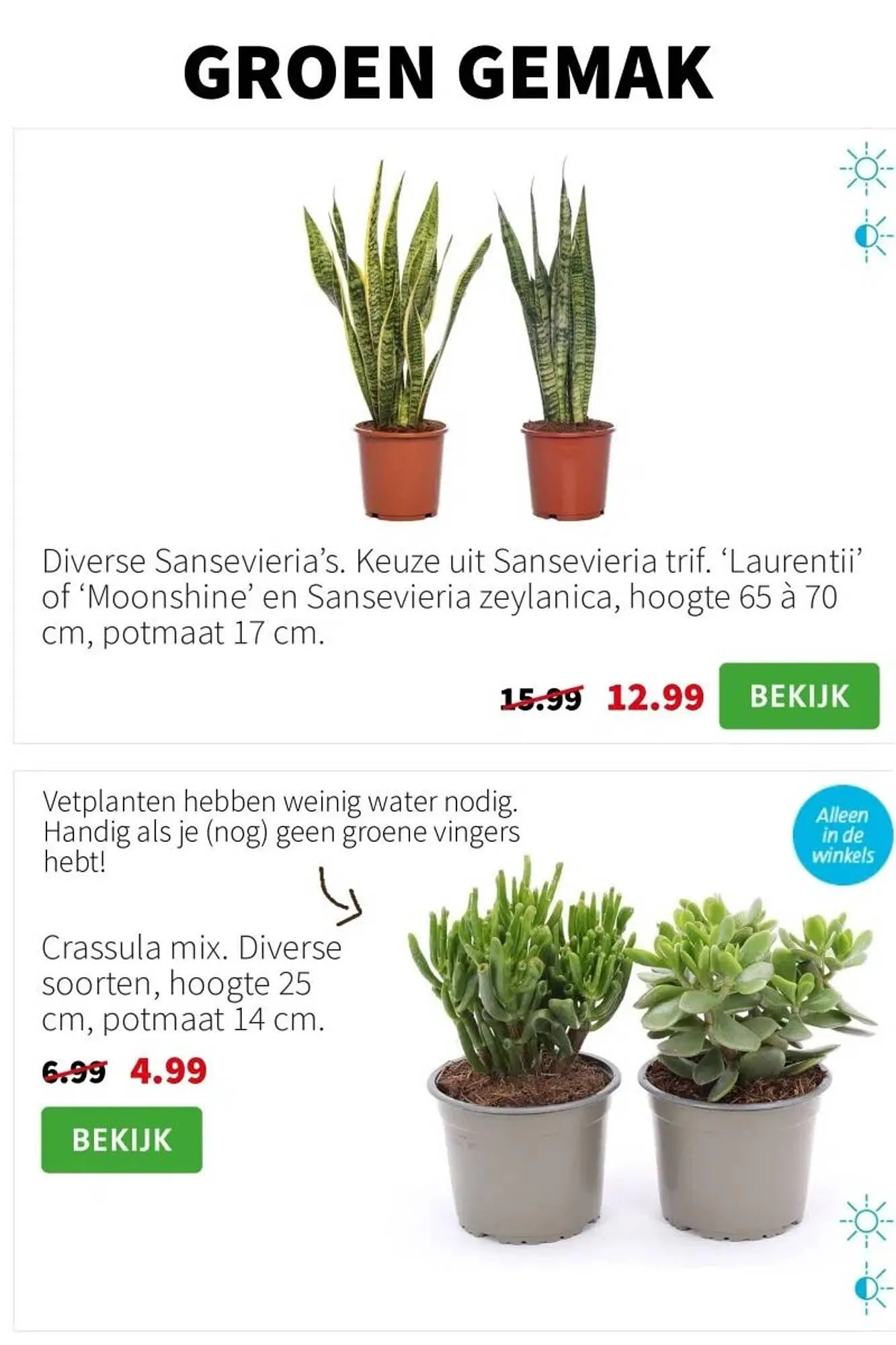 Intratuin folder van 7 april tot 13 april 2025 - Folder pagina 3