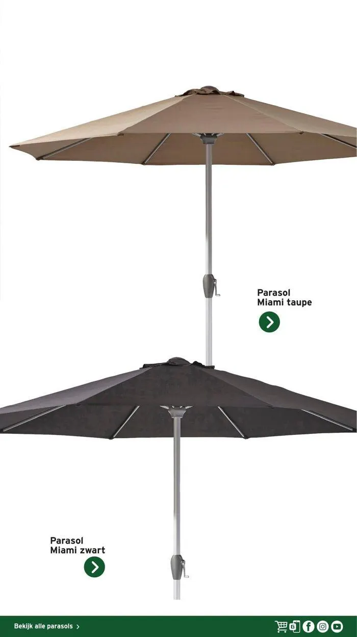 Gamma Decoratief Tuinmagazine 2024 van 4 maart tot 28 februari 2025 - Folder pagina 17