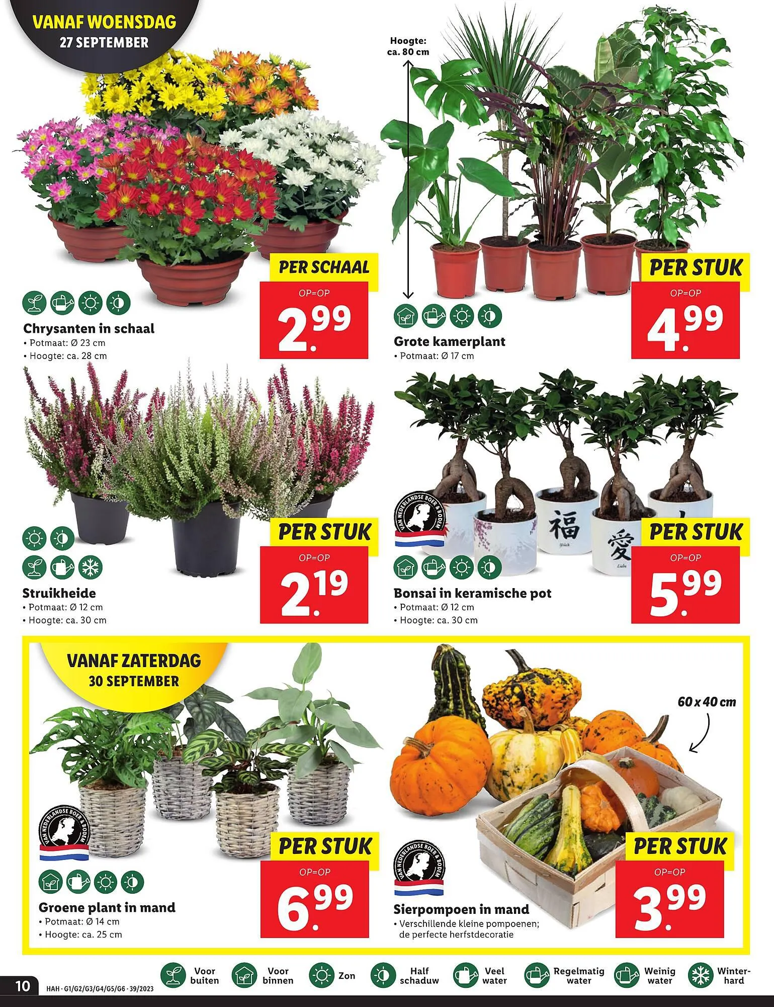 Lidl folder van 25 september tot 1 oktober 2023 - Folder pagina 10