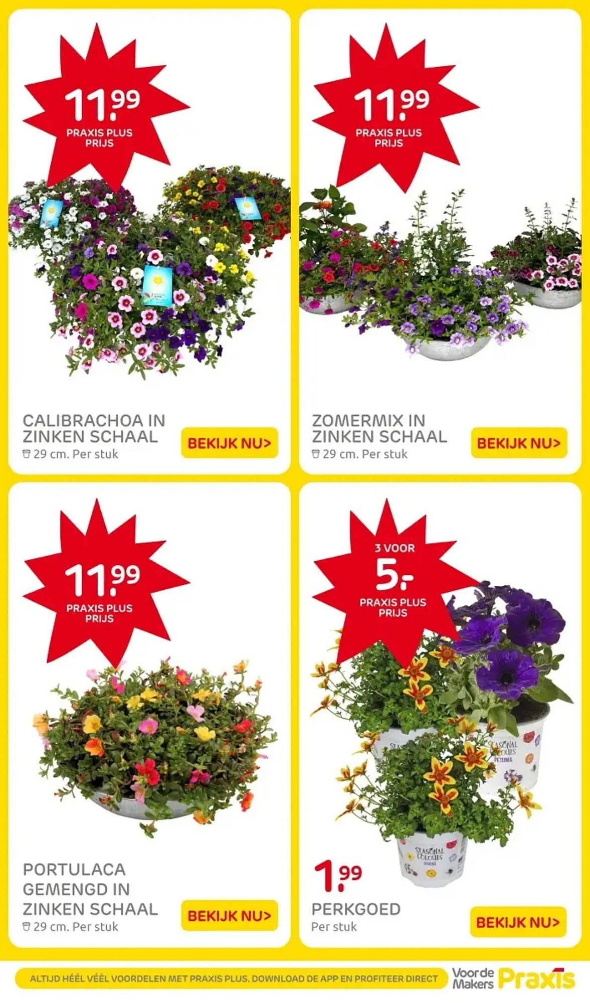 Praxis folder van 10 juni tot 15 juni 2025 - Folder pagina 17