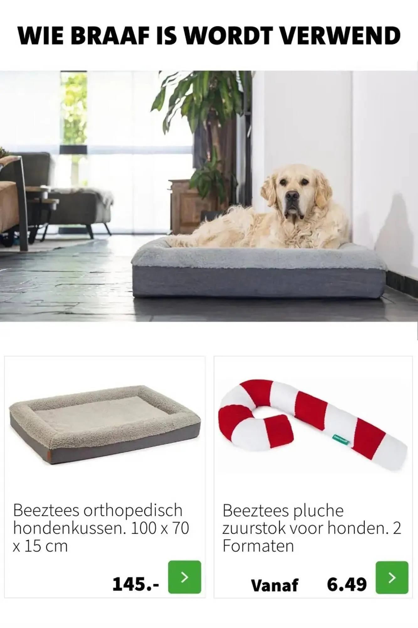 Intratuin folder van 27 november tot 3 december 2023 - Folder pagina 5