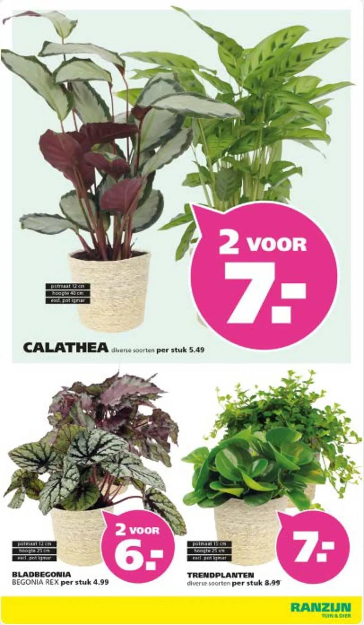 Ranzijn folder van 13 oktober tot 1 november 2025 - Folder pagina 11