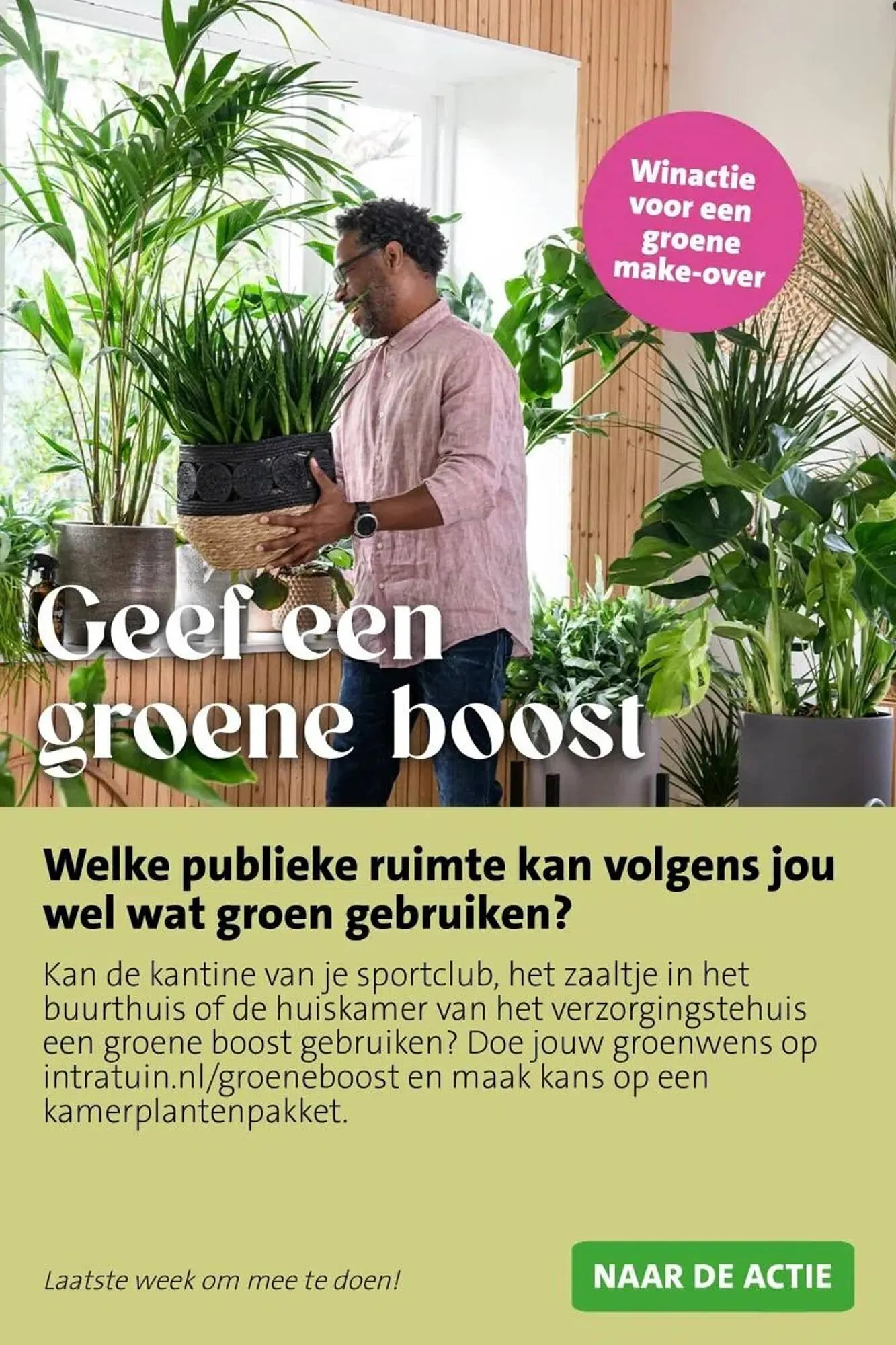 Intratuin folder van 23 februari tot 1 maart 2026 - Folder pagina 9