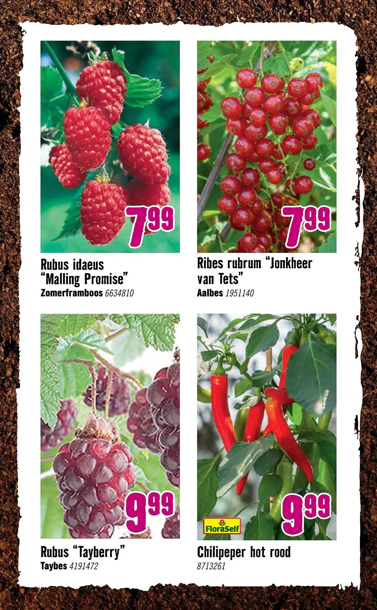 Hornbach folder van 6 april tot 3 mei 2026 - Folder pagina 27