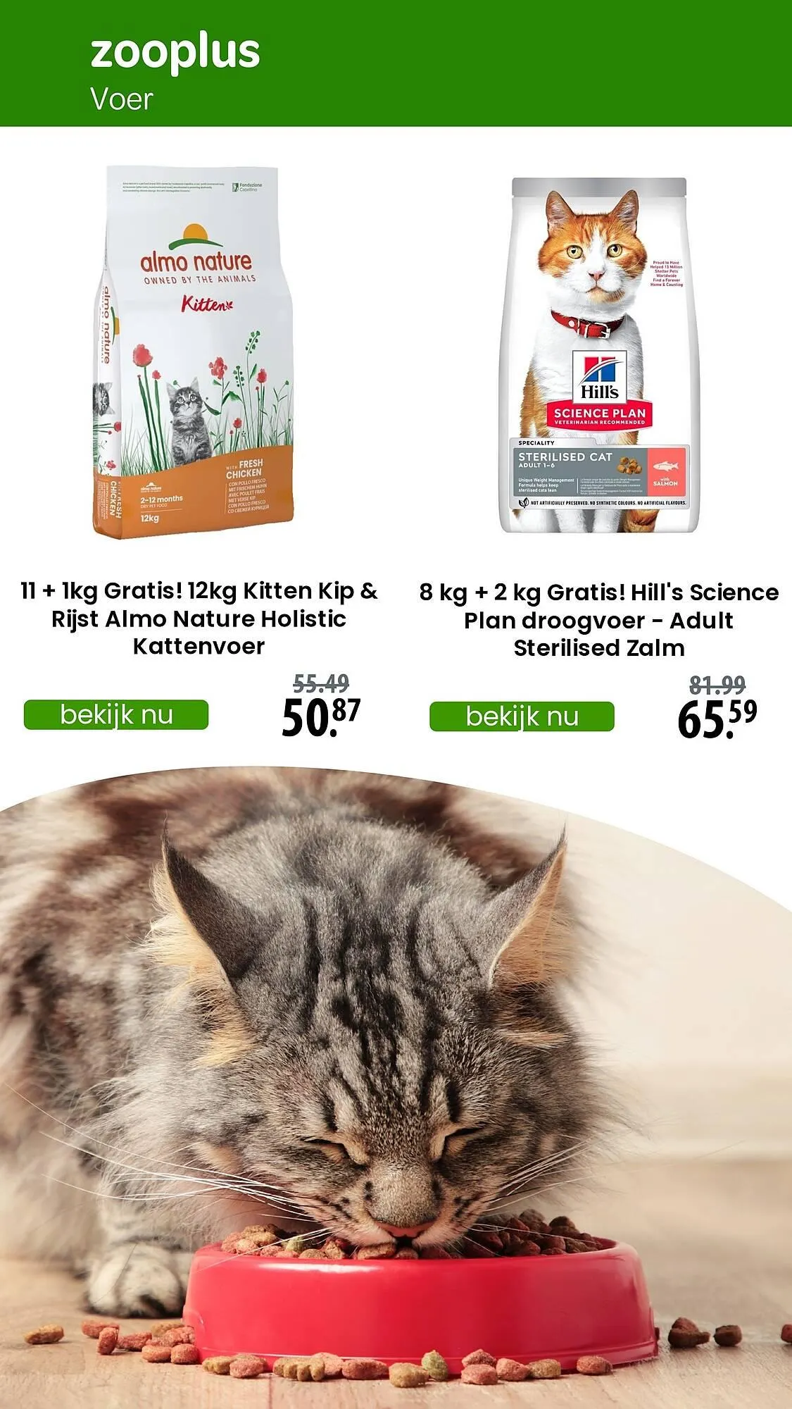 Zooplus folder van 14 december tot 31 december 2024 - Folder pagina 2