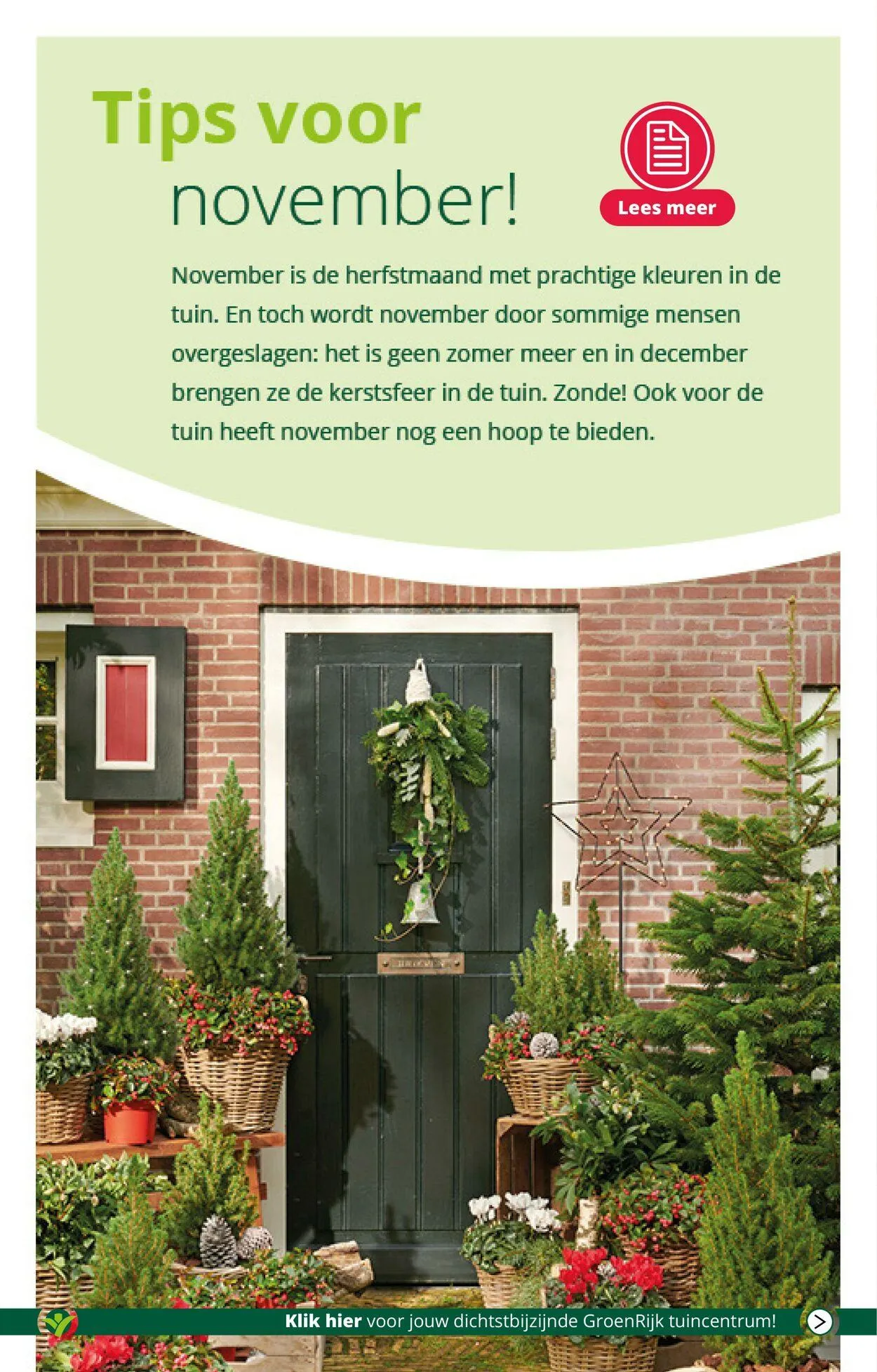 GroenRijk Actuele folder van 18 februari tot 4 maart 2025 - Folder pagina 4