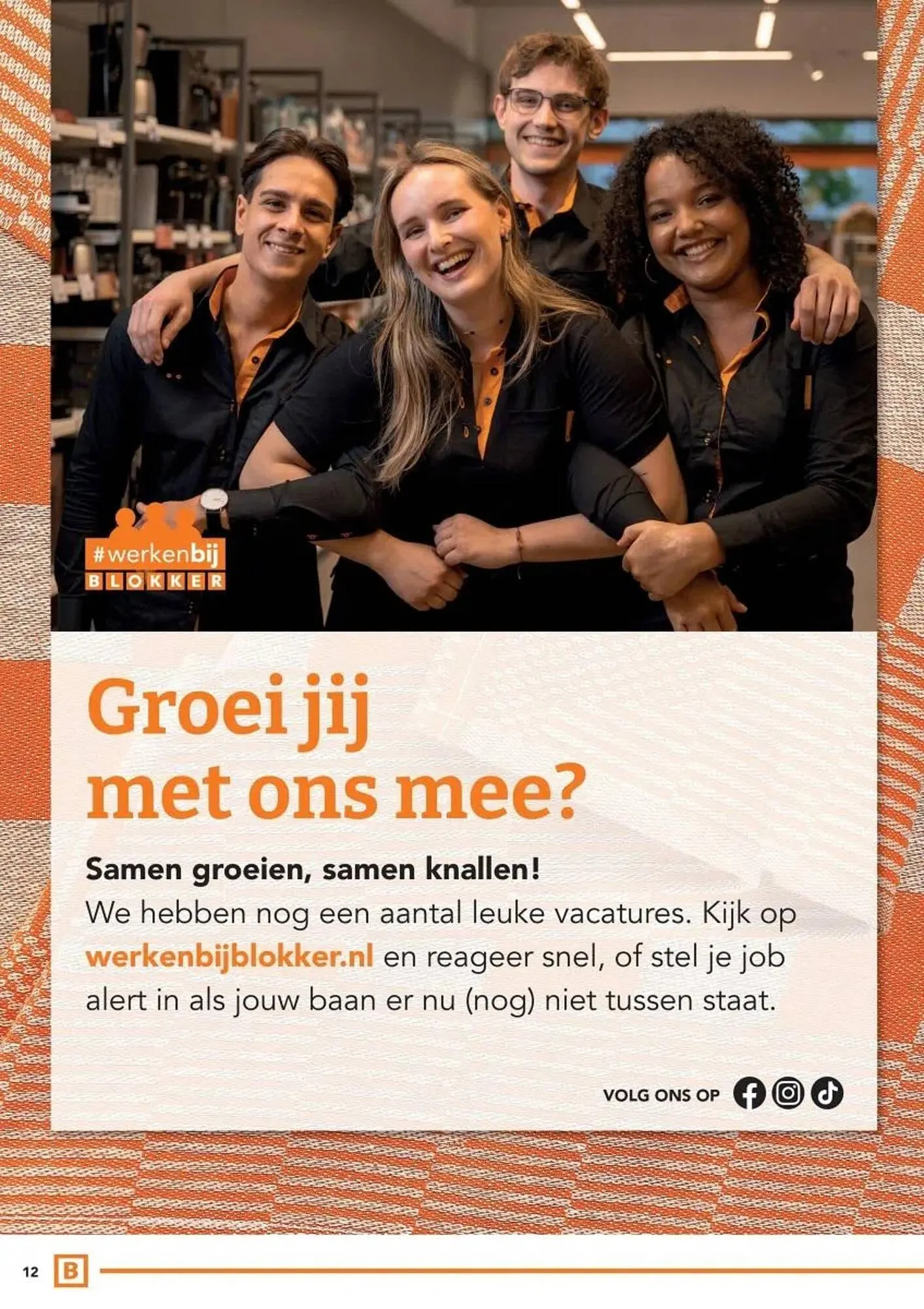 Blokker folder van 2 februari tot 22 februari 2026 - Folder pagina 12