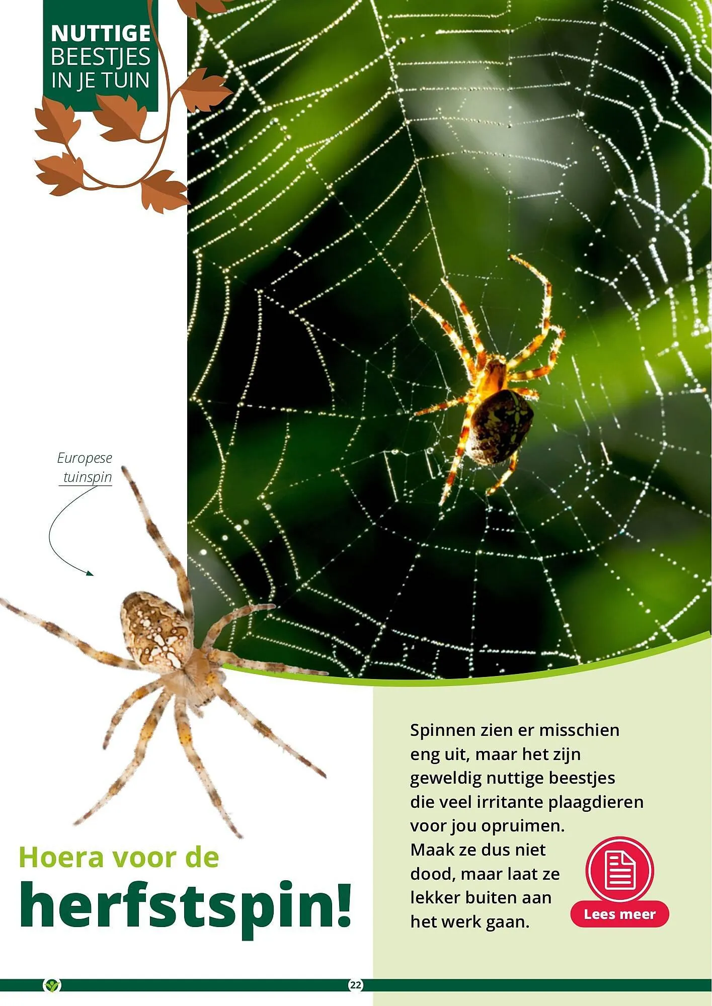 GroenRijk folder van 17 september tot 31 december 2023 - Folder pagina 22