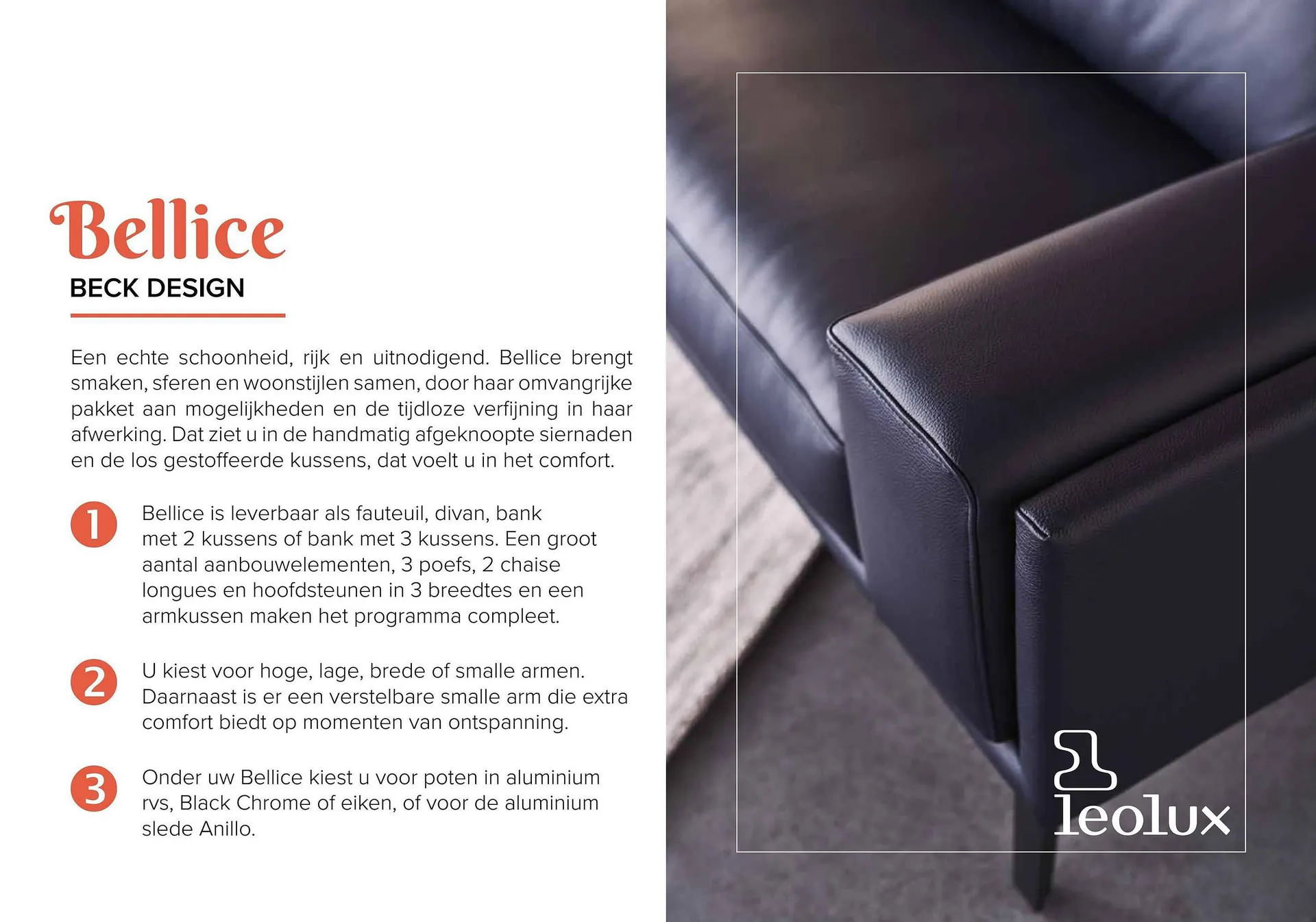 Donjon folder van 1 maart tot 29 februari 2024 - Folder pagina 71