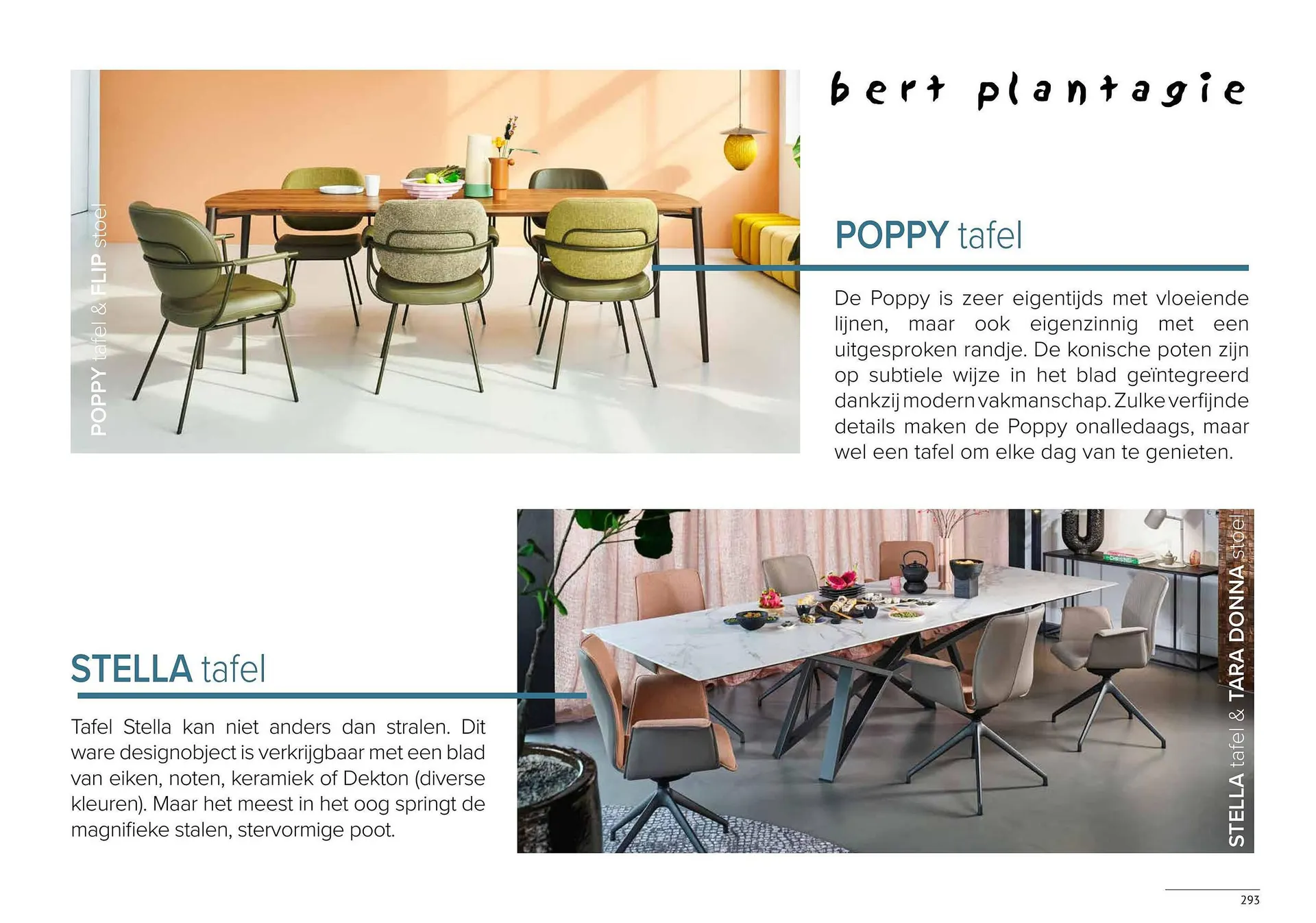 Donjon folder van 1 maart tot 29 februari 2024 - Folder pagina 295