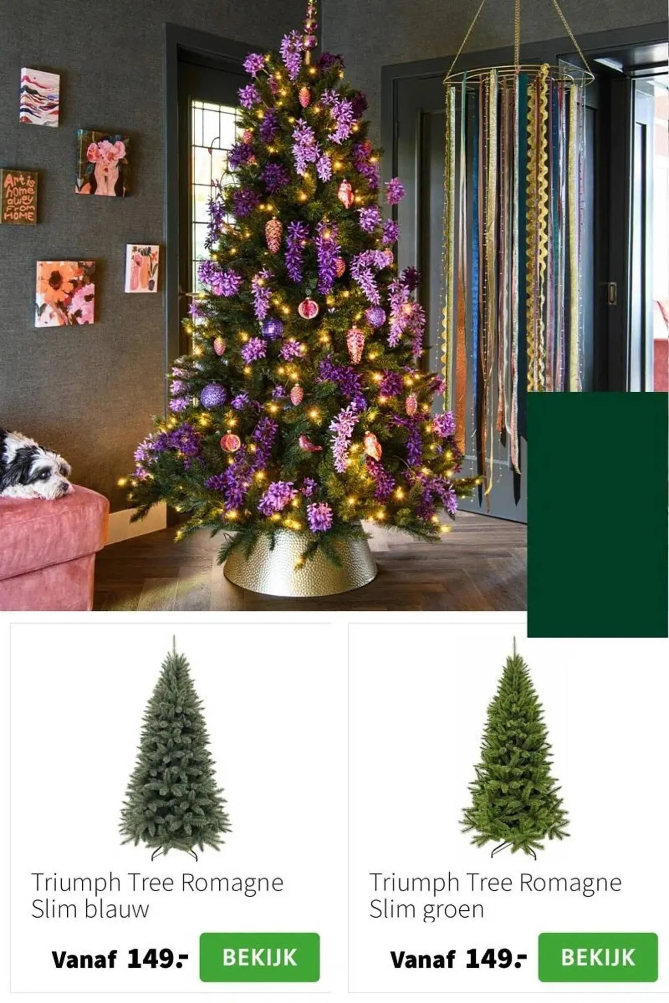 Intratuin folder van 9 oktober tot 24 december 2025 - Folder pagina 4