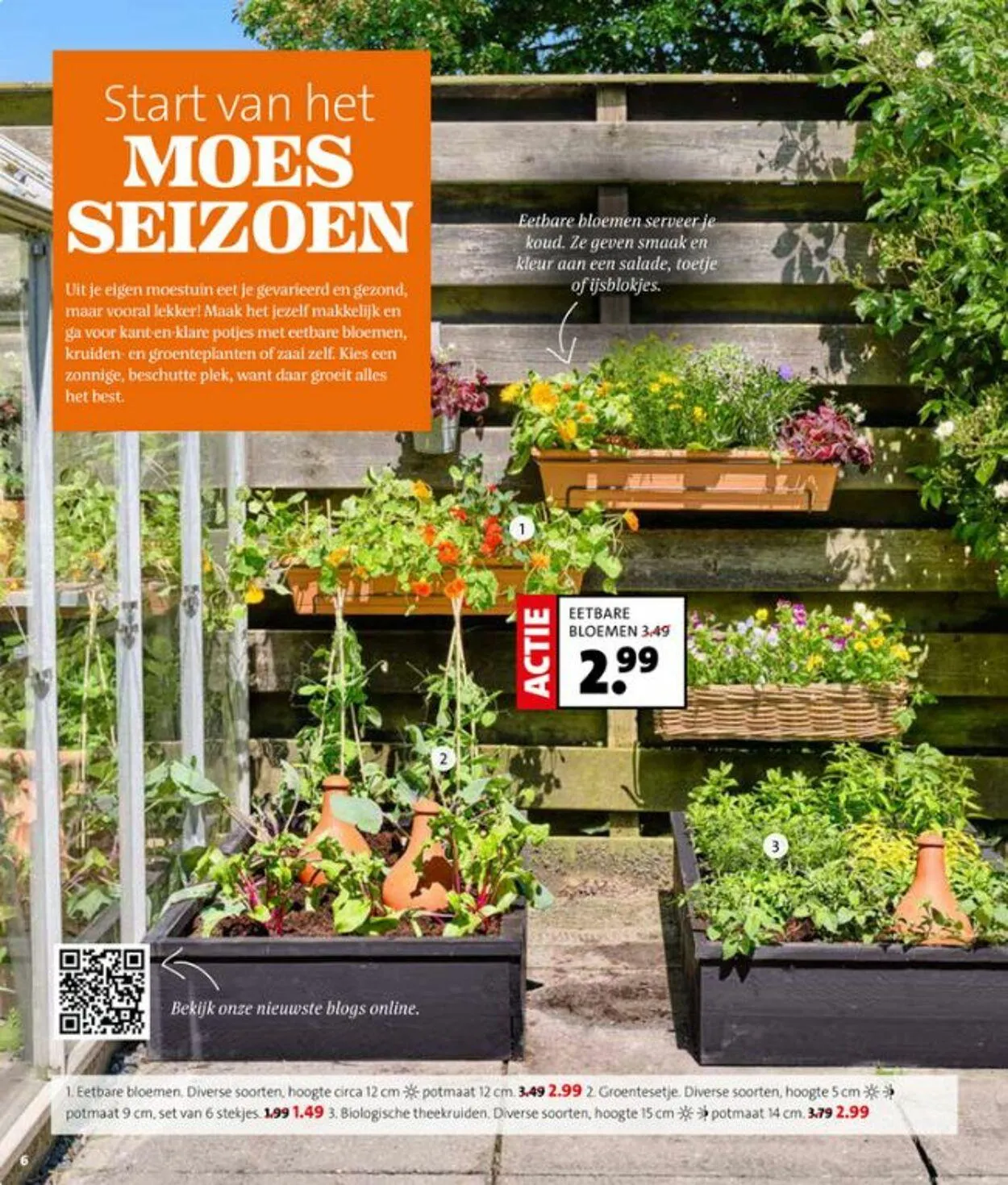 Intratuin Actuele folder van 3 augustus tot 17 augustus 2025 - Folder pagina 6