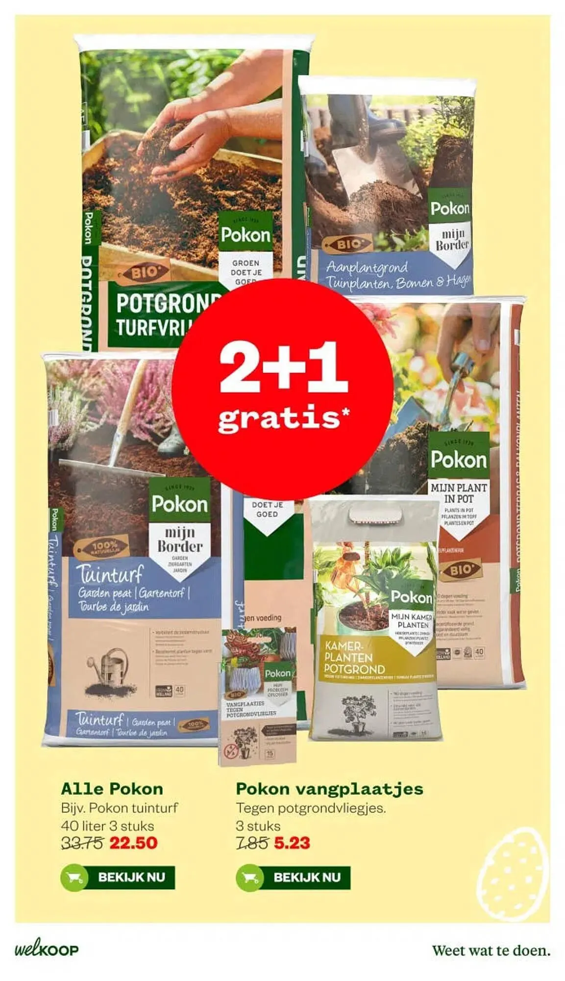 Welkoop folder van 6 april tot 12 april 2026 - Folder pagina 29