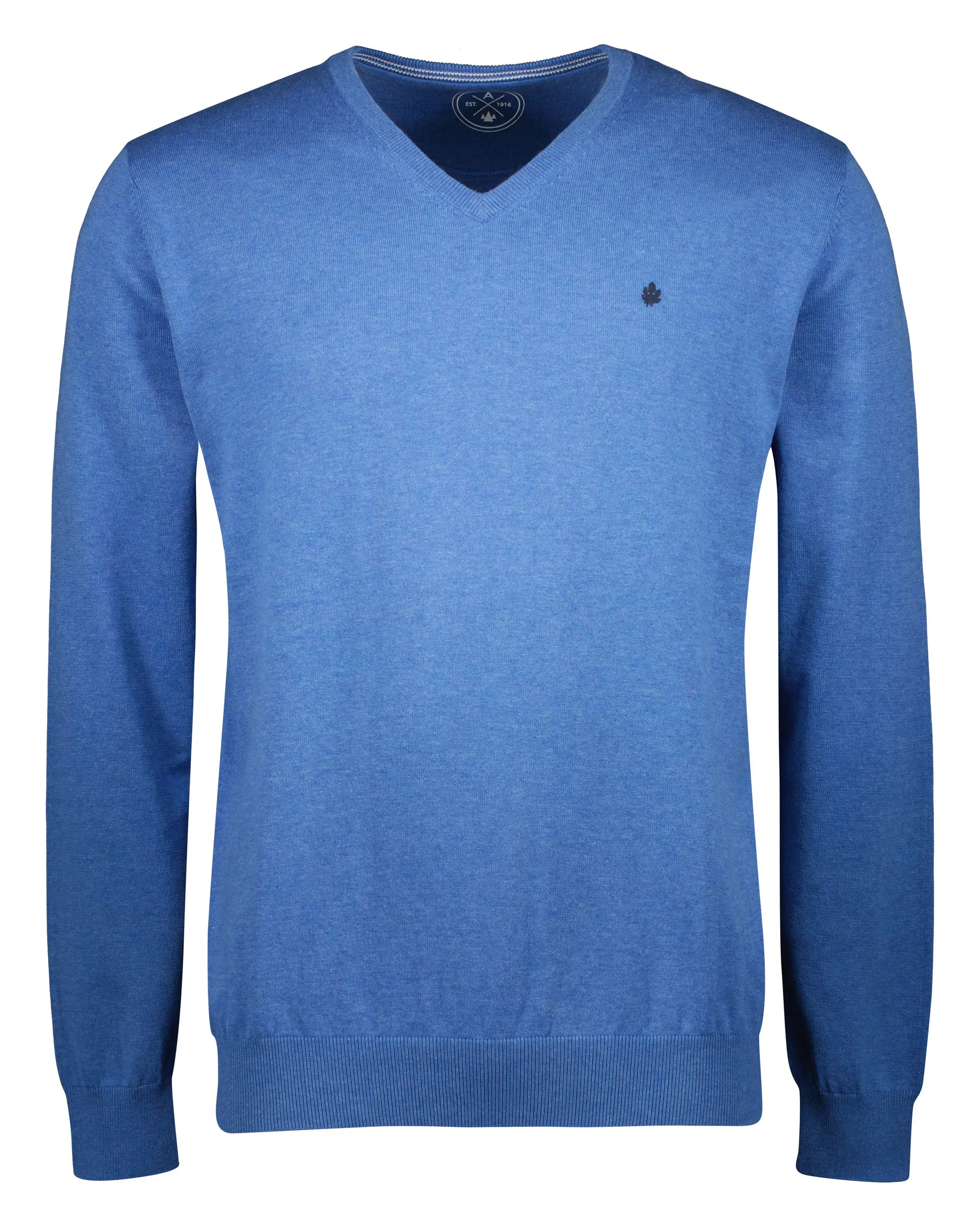 Effen Trui met V-hals Blauw