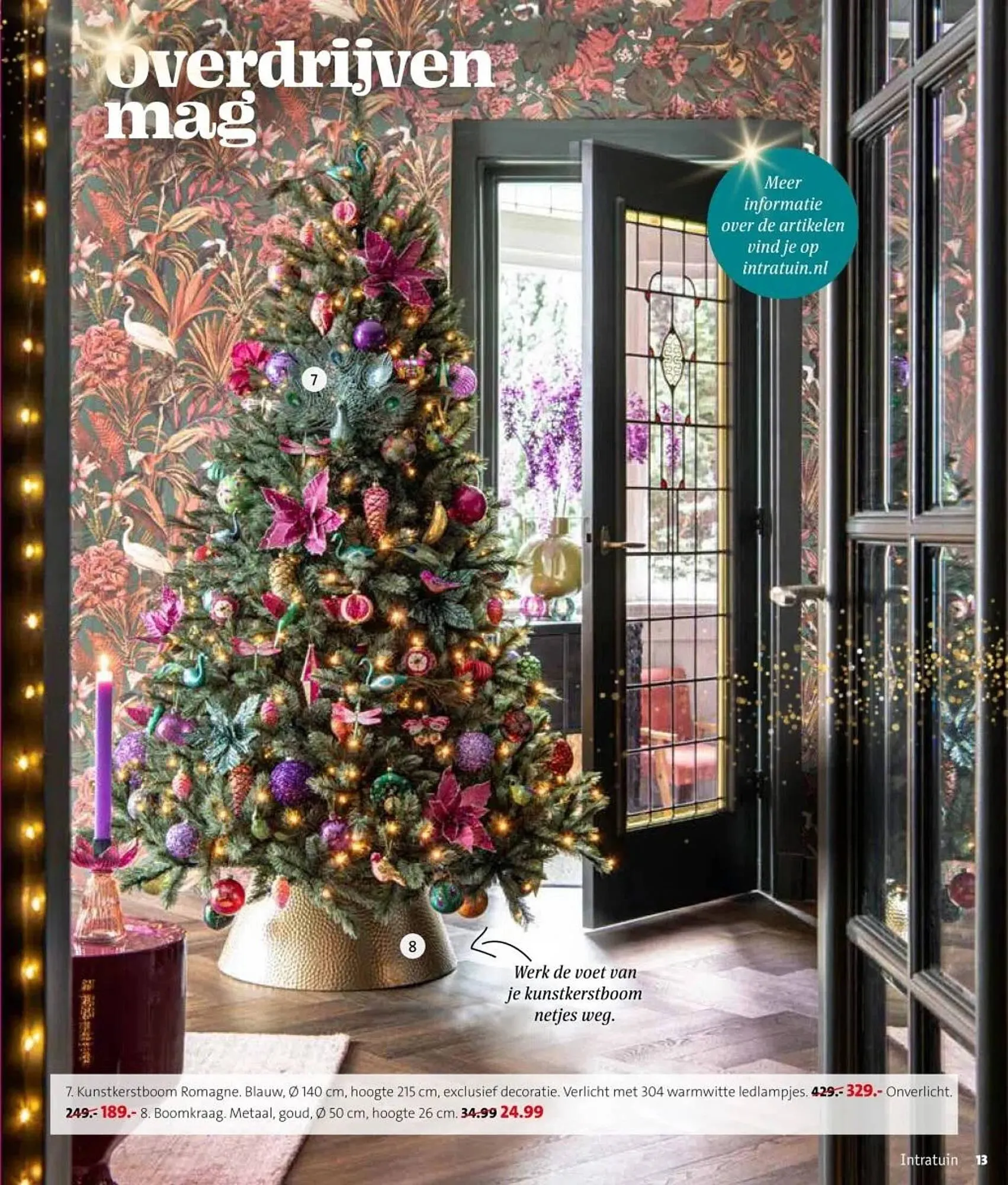 Intratuin folder van 27 oktober tot 2 november 2025 - Folder pagina 13
