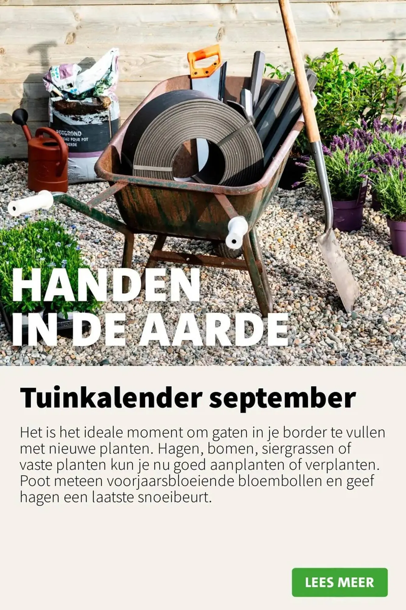Intratuin folder van 1 september tot 7 september 2025 - Folder pagina 7