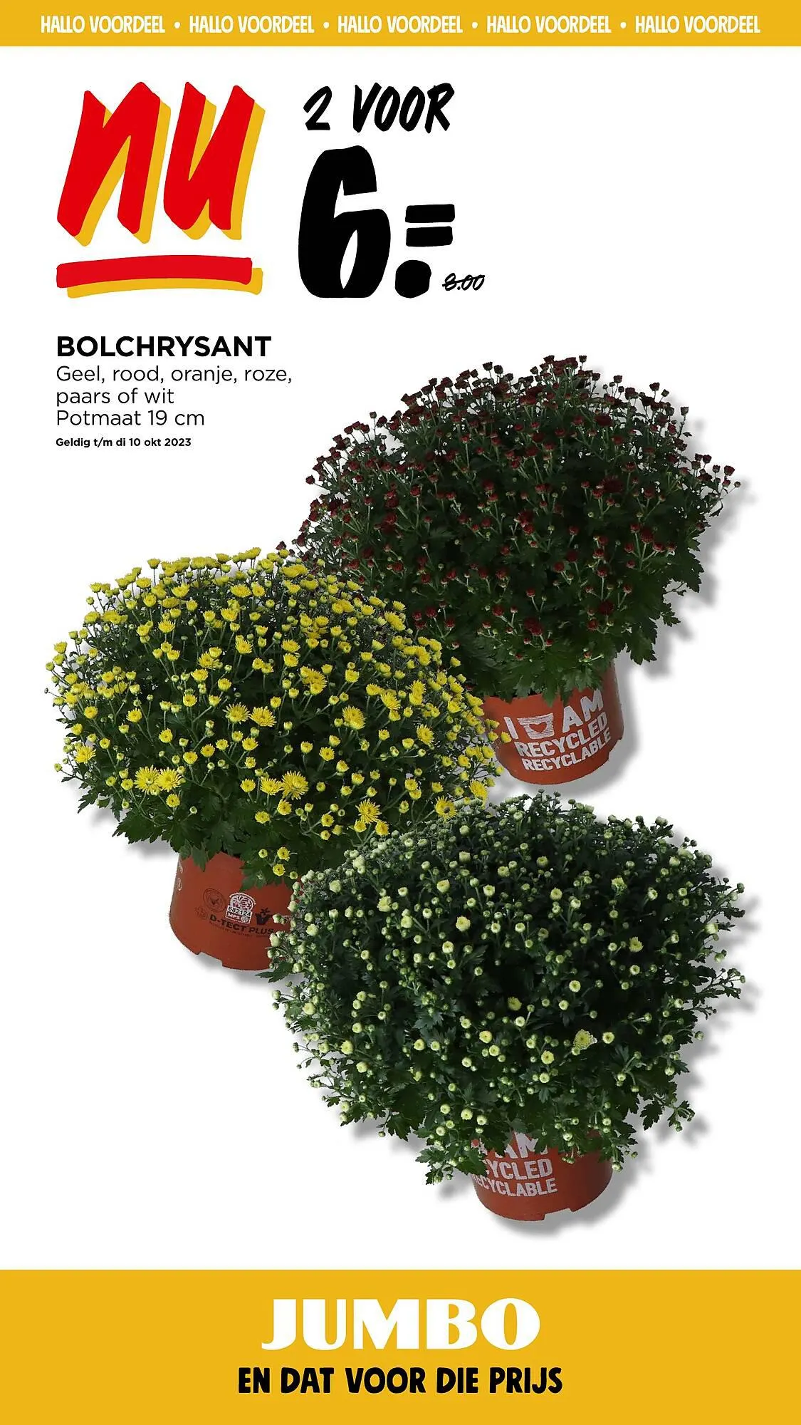 Jumbo folder week 37 van 13 september tot 19 september 2023 - Folder pagina 38