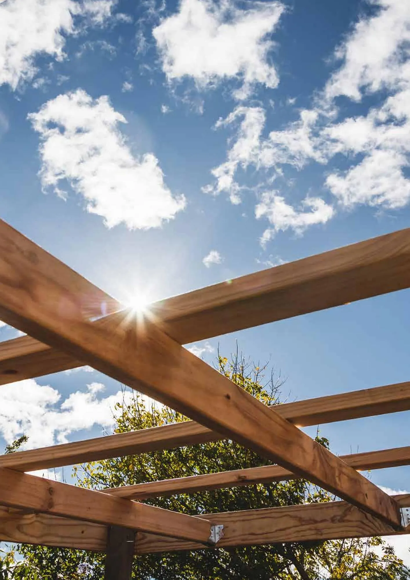 Pontmeyer Tuincatalogus 2023 van 1 maart tot 31 oktober 2023 - Folder pagina 2