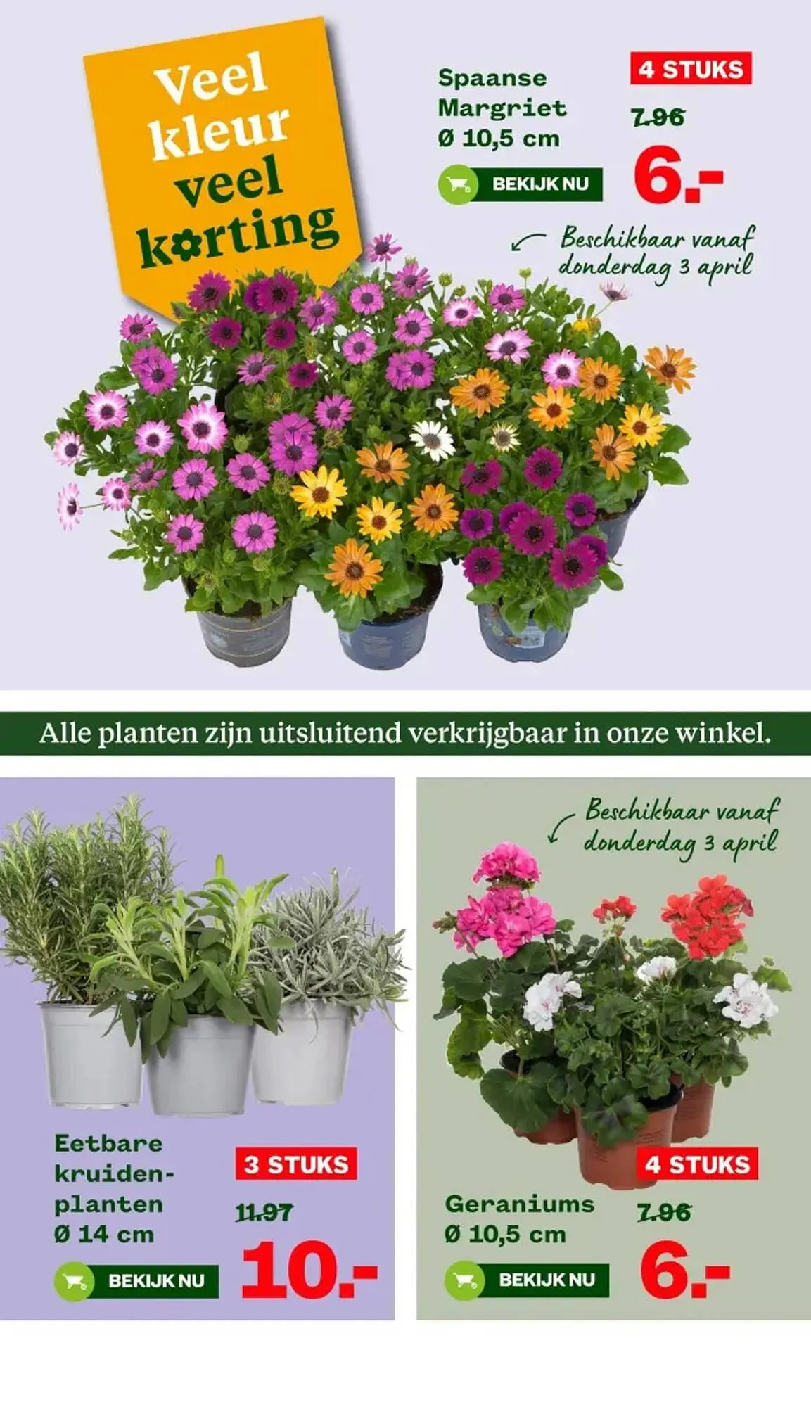 Welkoop folder van 31 maart tot 13 april 2025 - Folder pagina 2