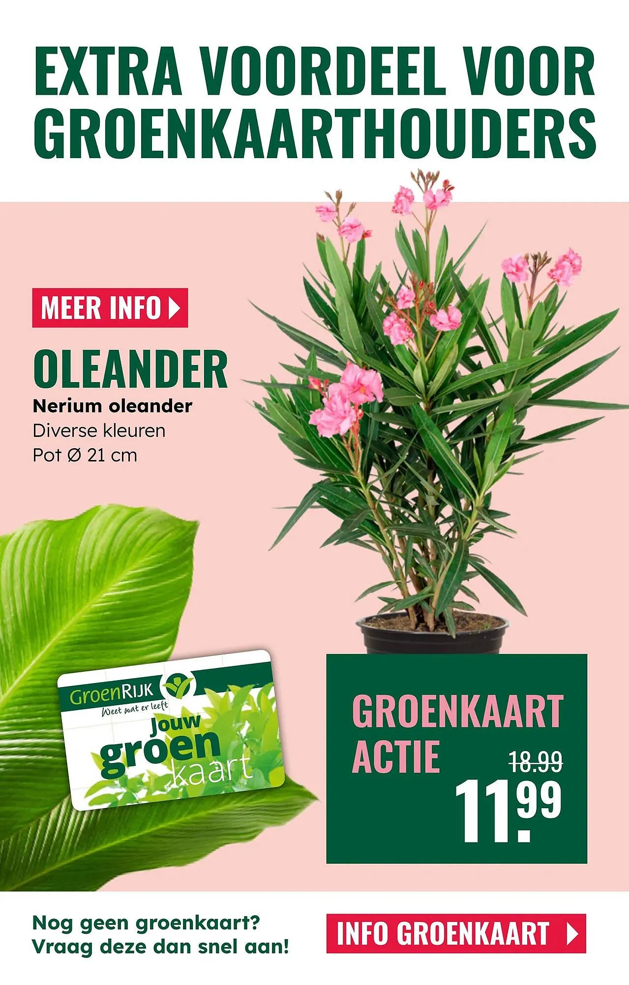 GroenRijk folder van 16 april tot 29 april 2025 - Folder pagina 27