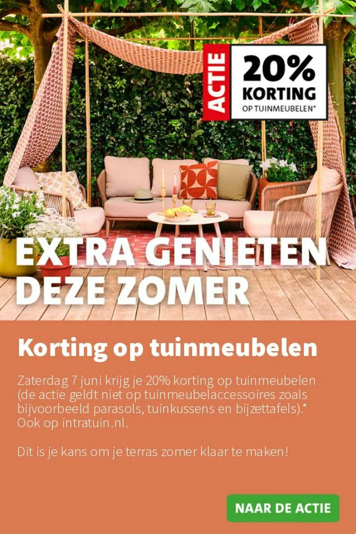 Intratuin Actuele folder van 9 november tot 23 november 2025 - Folder pagina 7