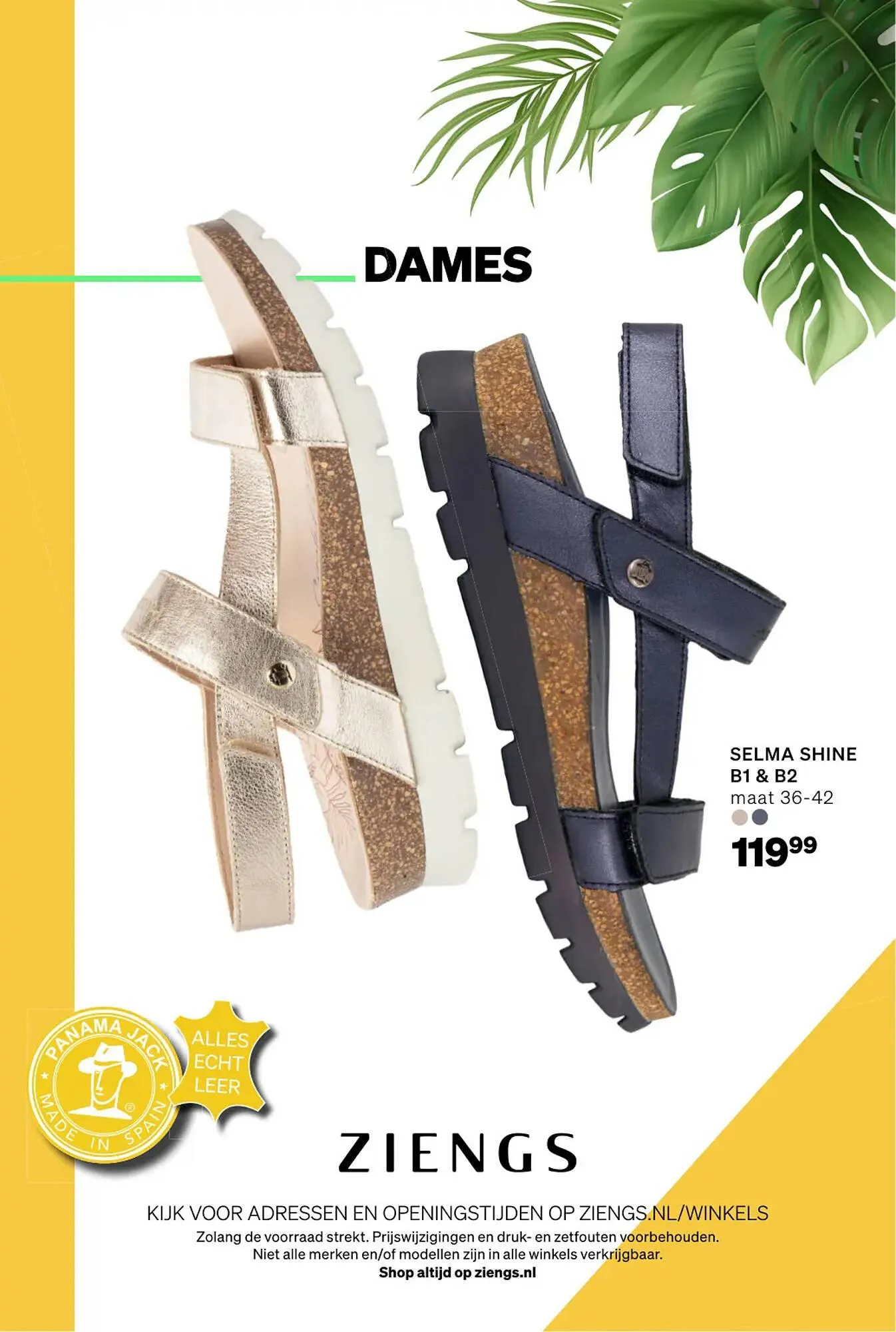 Ziengs folder van 9 juni tot 29 juni 2025 - Folder pagina 8