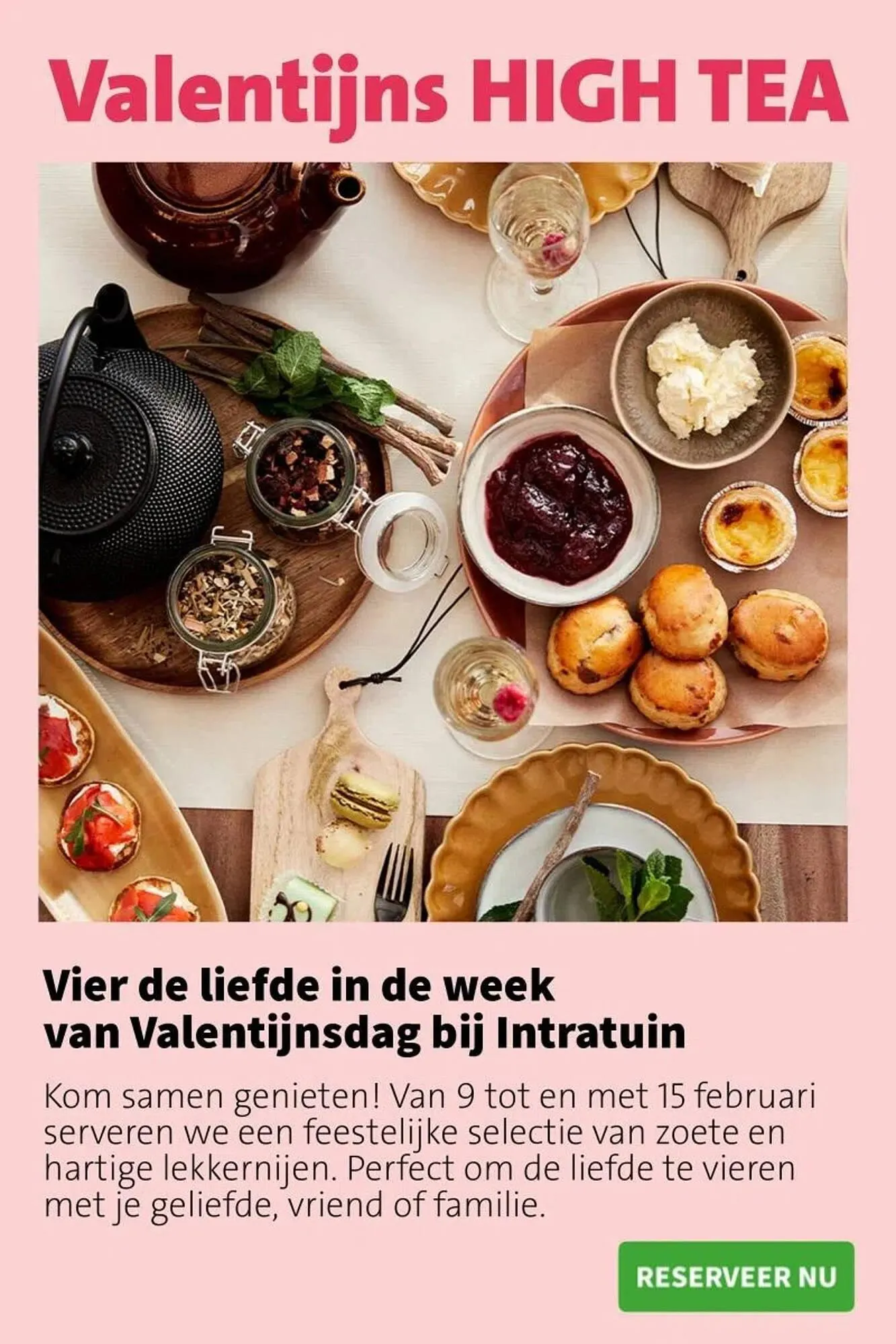 Intratuin folder van 2 februari tot 8 februari 2026 - Folder pagina 9