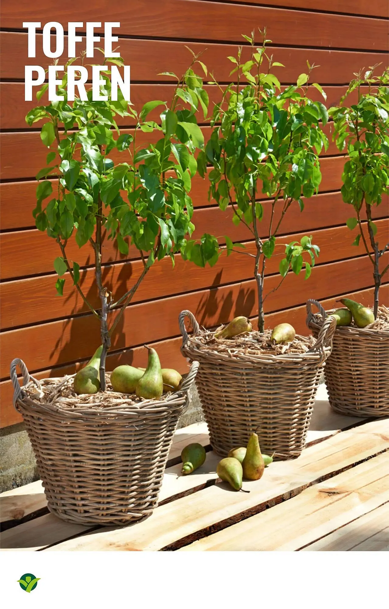 GroenRijk folder van 16 april tot 29 april 2025 - Folder pagina 24