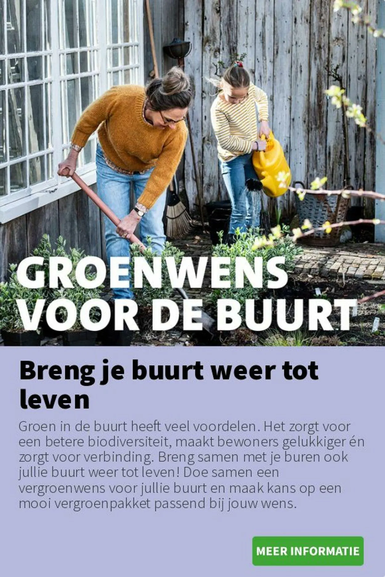 Intratuin Actuele folder van 17 augustus tot 31 augustus 2025 - Folder pagina 19