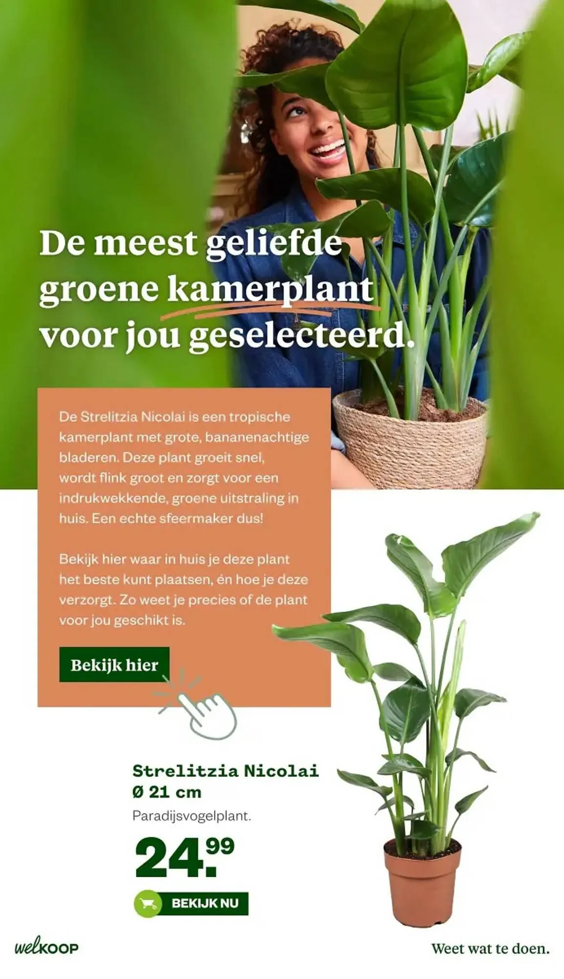 Welkoop folder van 2 maart tot 15 maart 2026 - Folder pagina 5