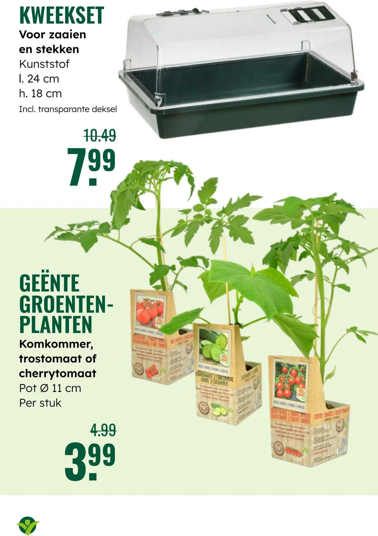 GroenRijk Actuele folder van 8 juli tot 22 juli 2025 - Folder pagina 21