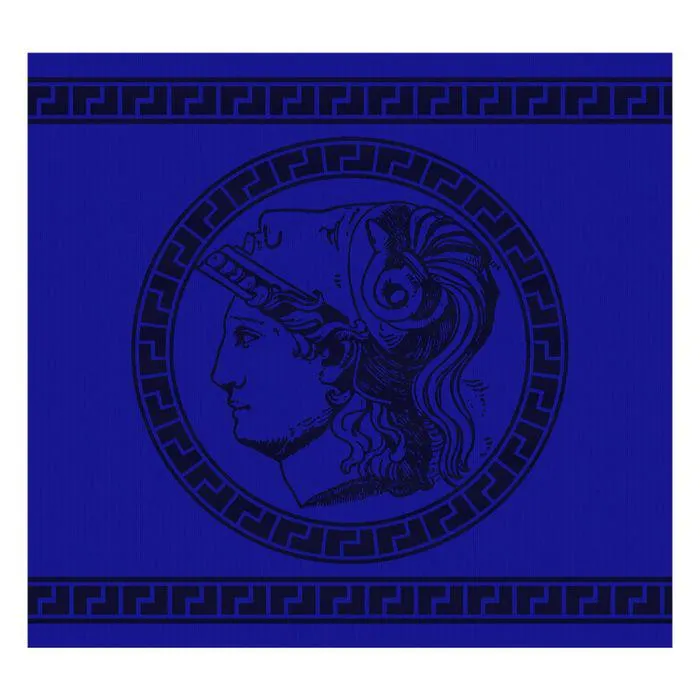 DDDDD Theedoek Minerva 60x65cm - blue - set van 6
