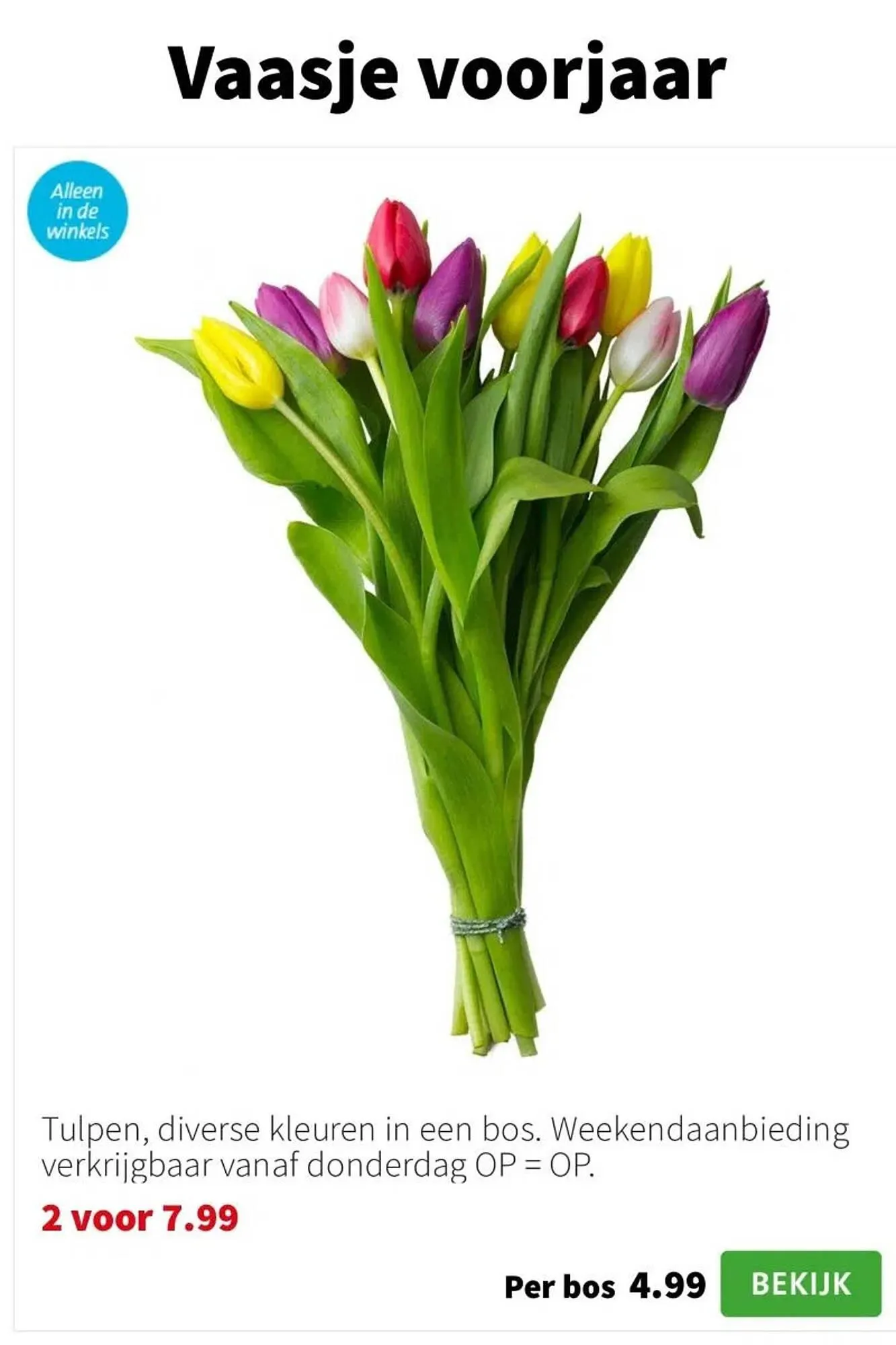 Intratuin folder van 26 januari tot 1 februari 2026 - Folder pagina 9