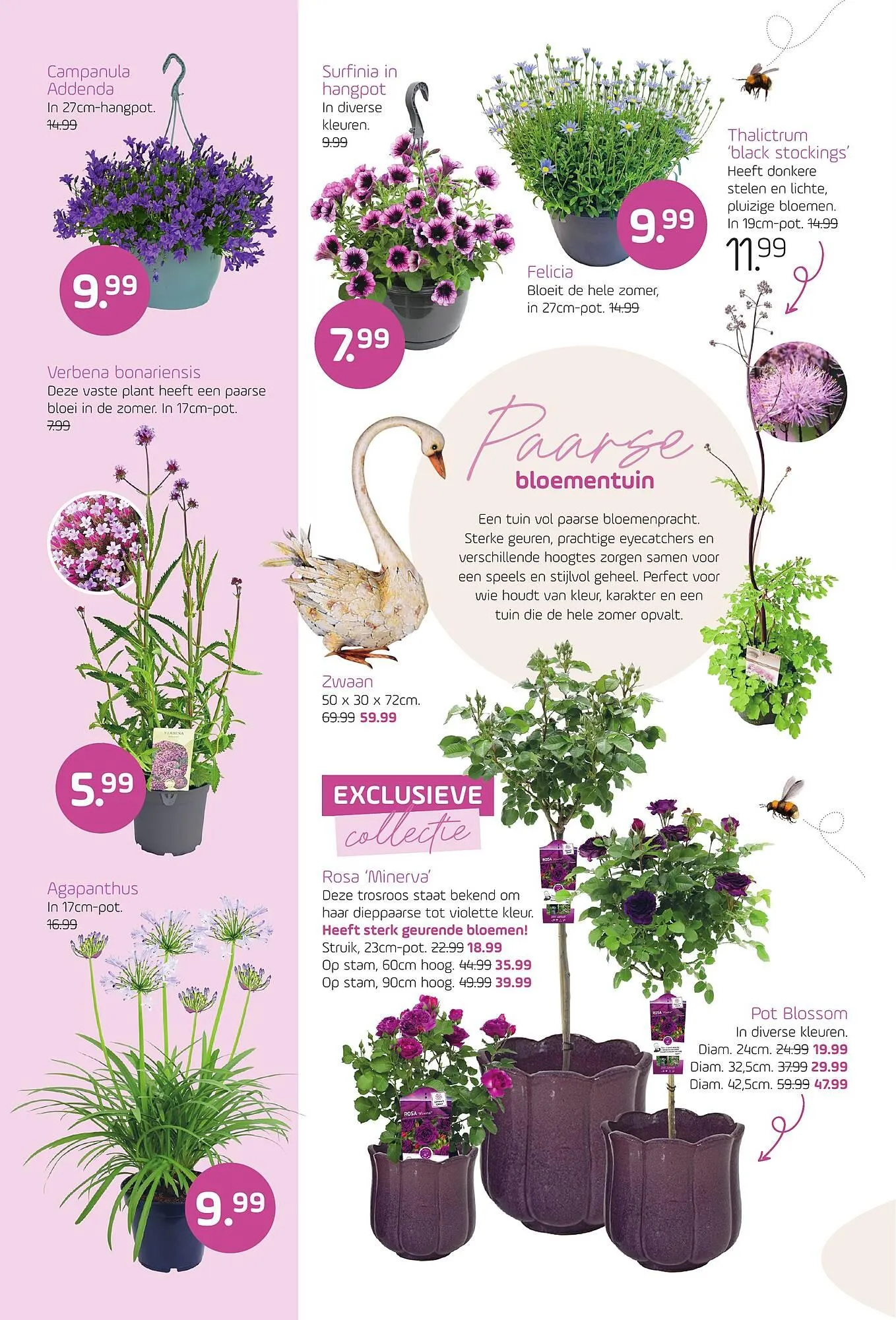 Coppelmans folder van 29 april tot 10 mei 2026 - Folder pagina 4