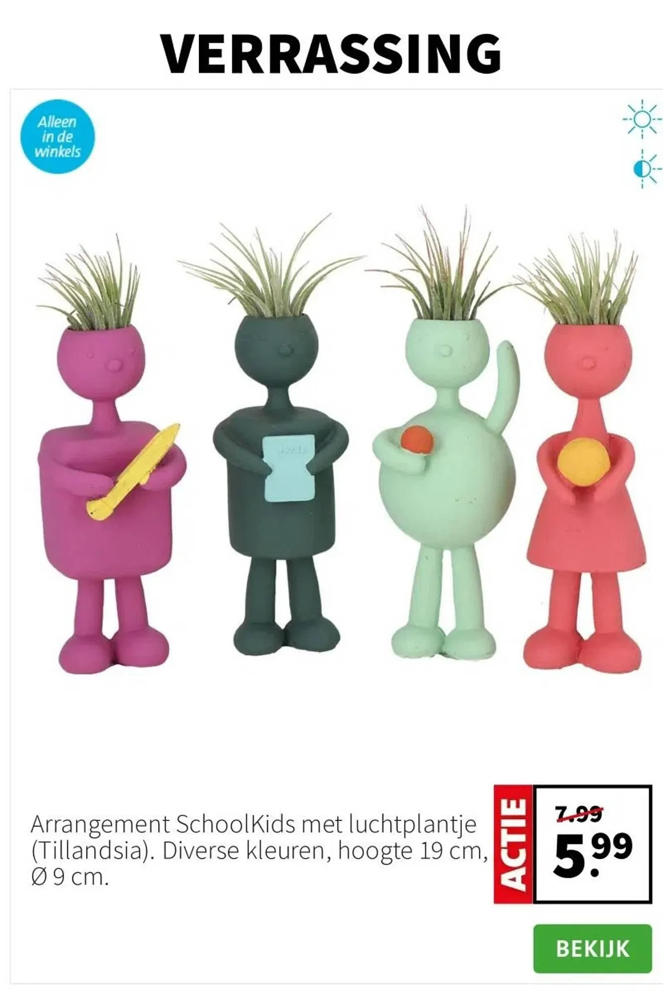 Intratuin folder van 14 juli tot 20 juli 2025 - Folder pagina 2