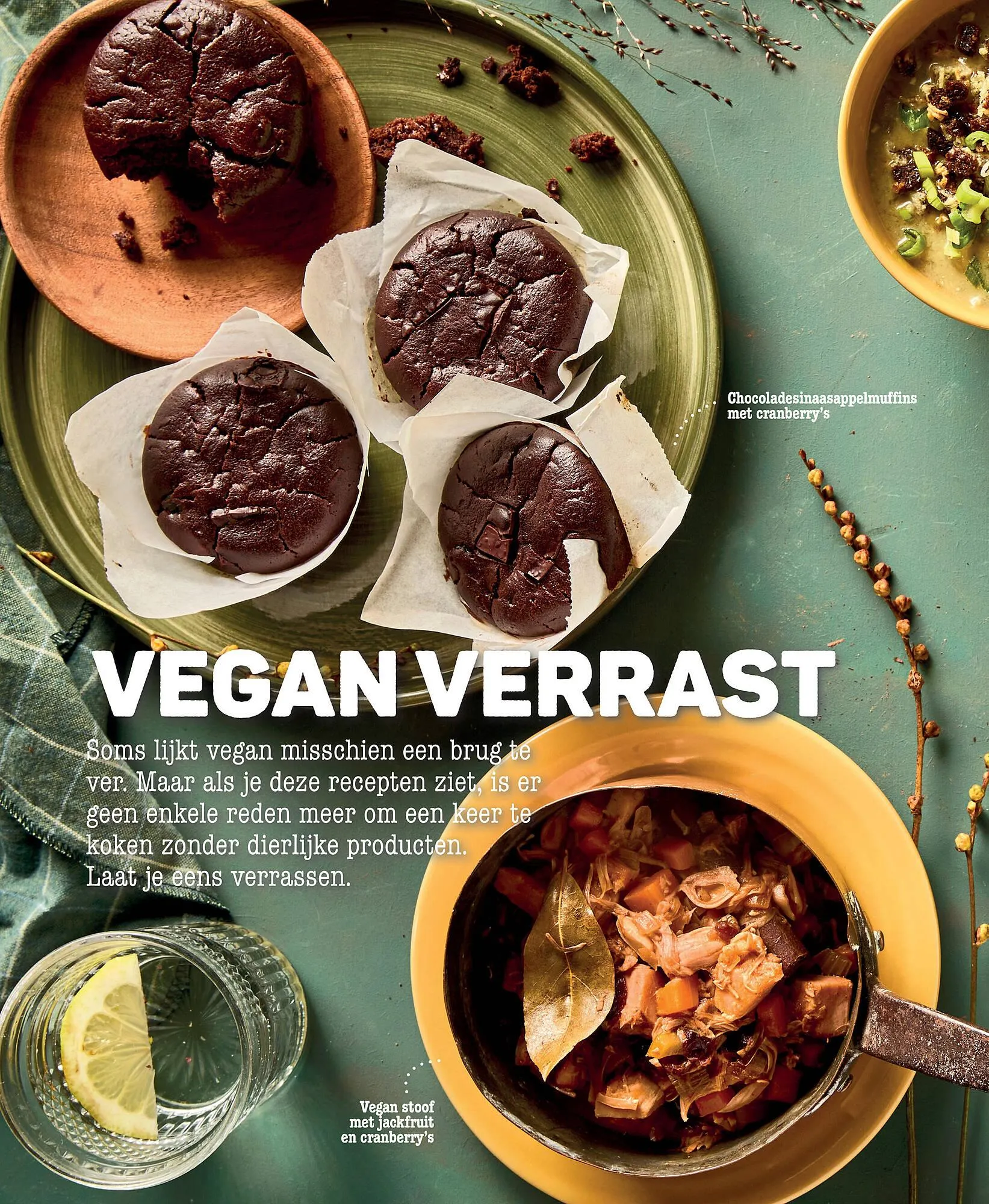 Ekoplaza magazine van 25 november tot 31 januari 2026 - Folder pagina 12