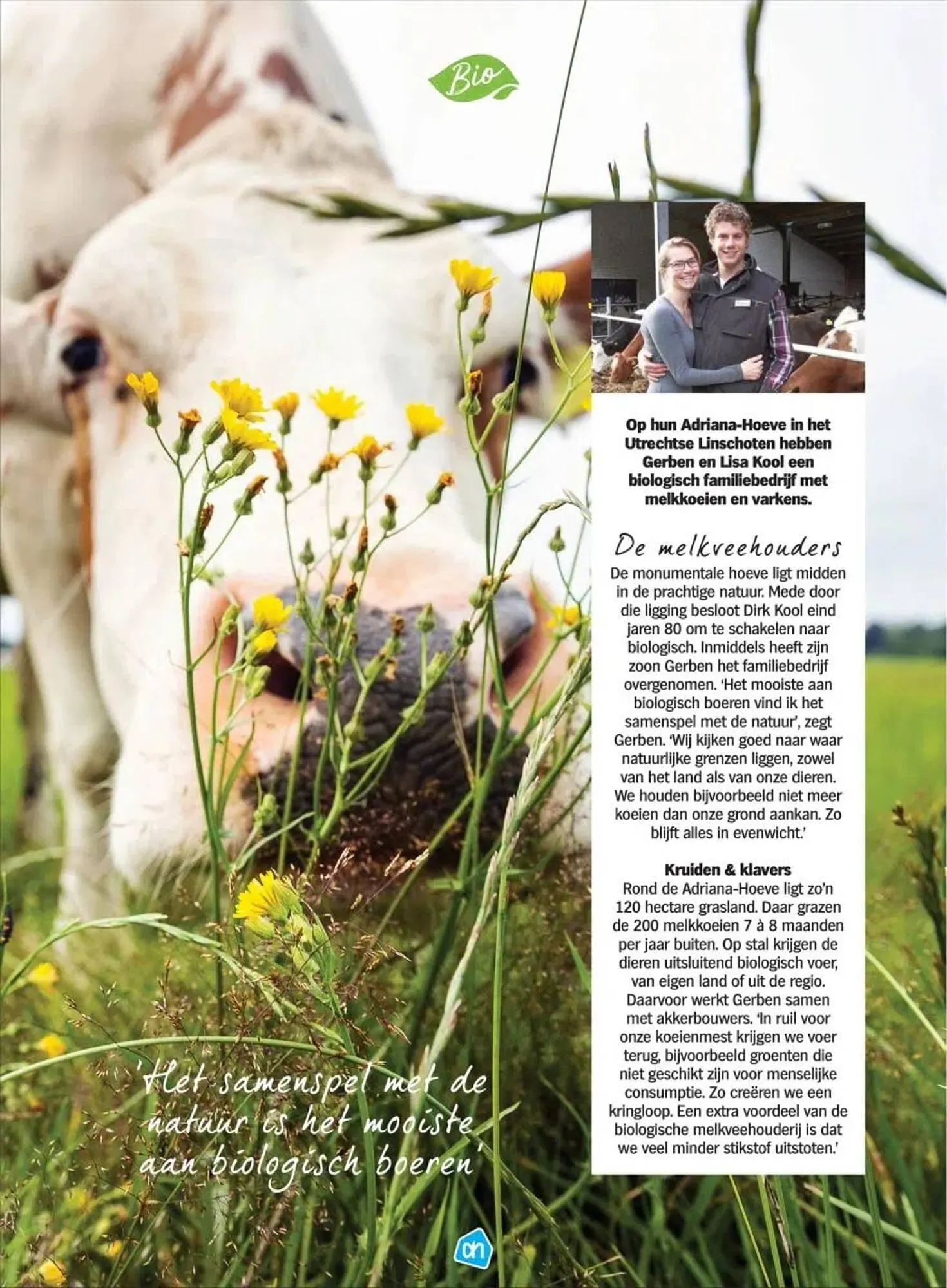 Albert Heijn Biologisch folder van 15 september tot 4 oktober 2023 - Folder pagina 17