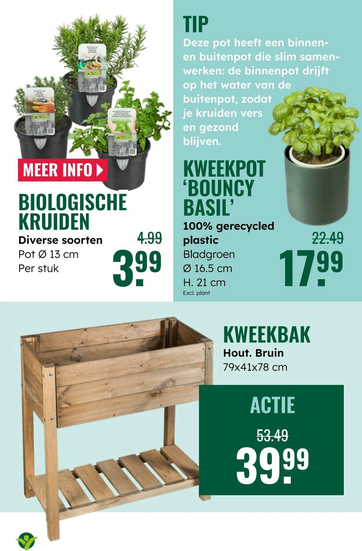 GroenRijk Actuele folder van 2 september tot 16 september 2025 - Folder pagina 13