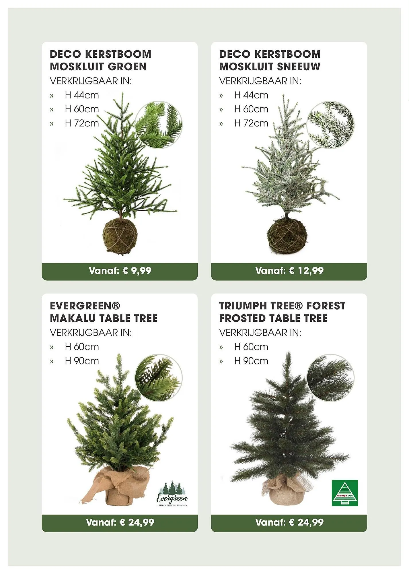 Coppelmans kerstbomencatalogus van 12 november tot 24 december 2025 - Folder pagina 5