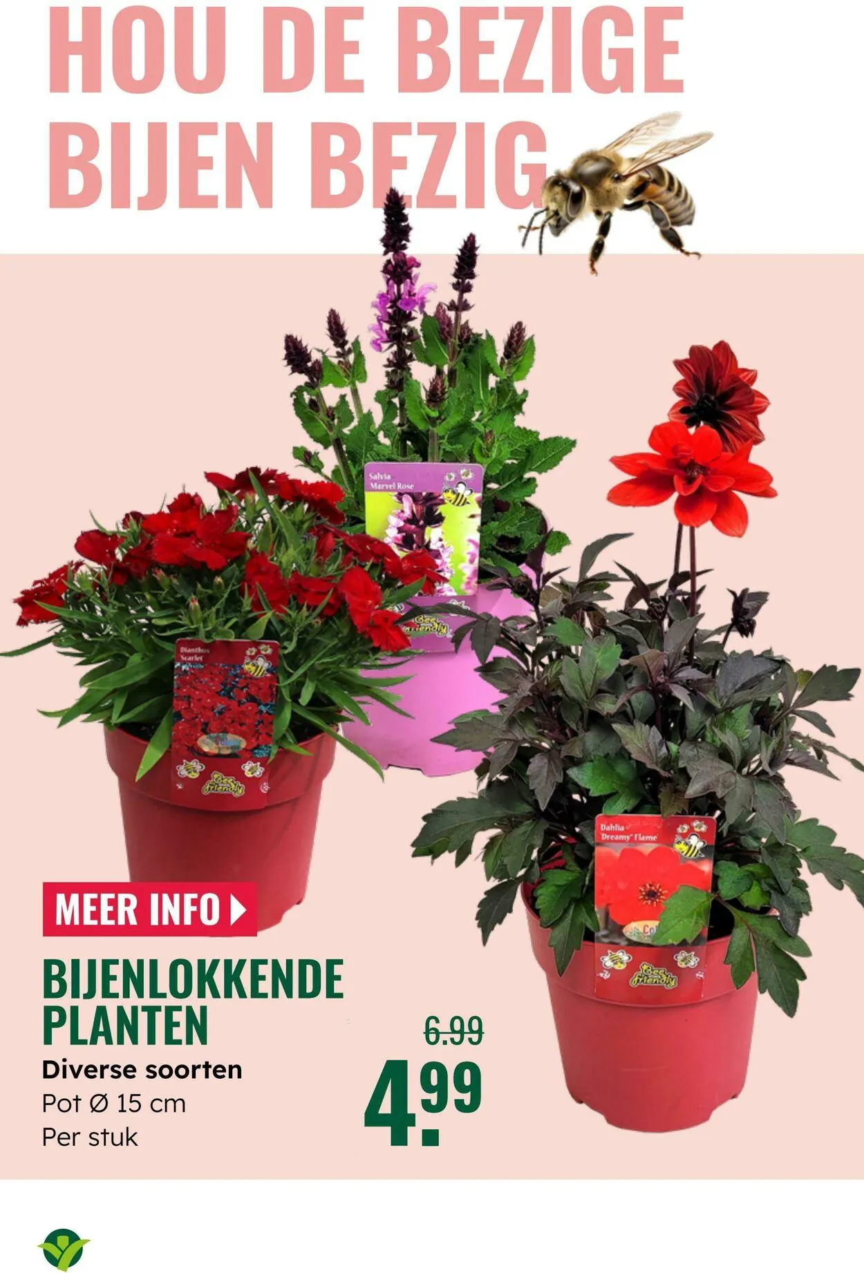 GroenRijk Actuele folder van 16 september tot 30 september 2025 - Folder pagina 9