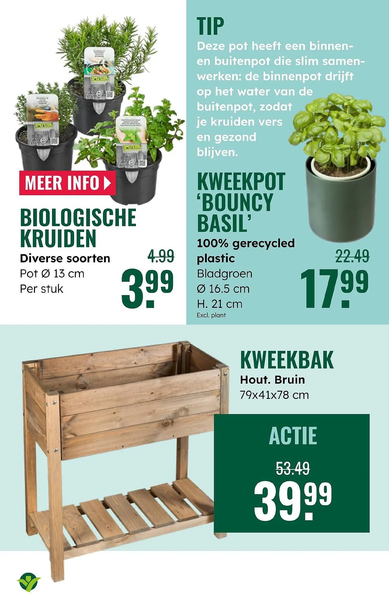 GroenRijk folder van 28 mei tot 3 juni 2025 - Folder pagina 13