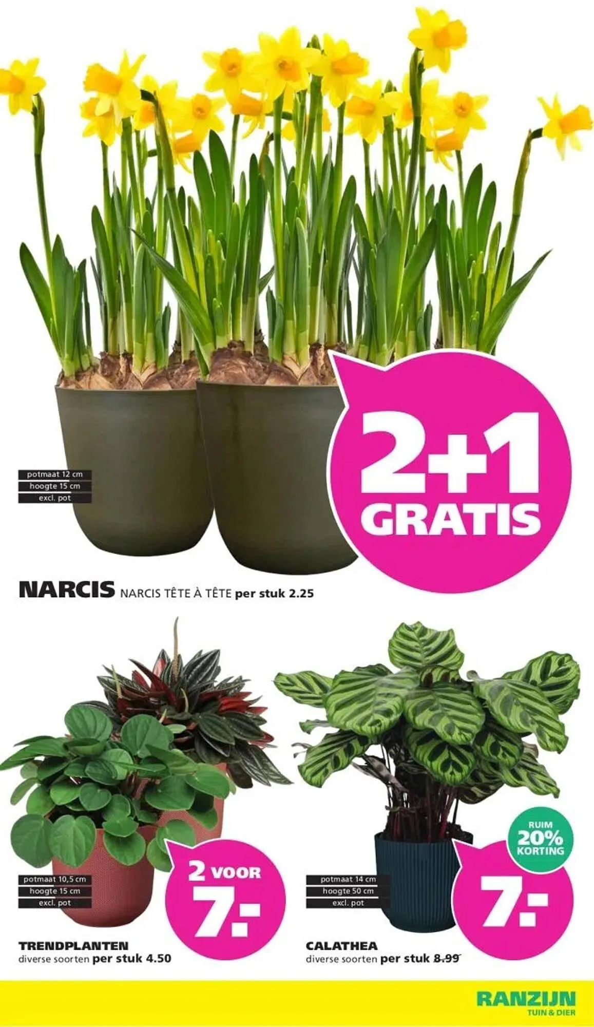 Ranzijn folder van 25 januari tot 7 februari 2026 - Folder pagina 7